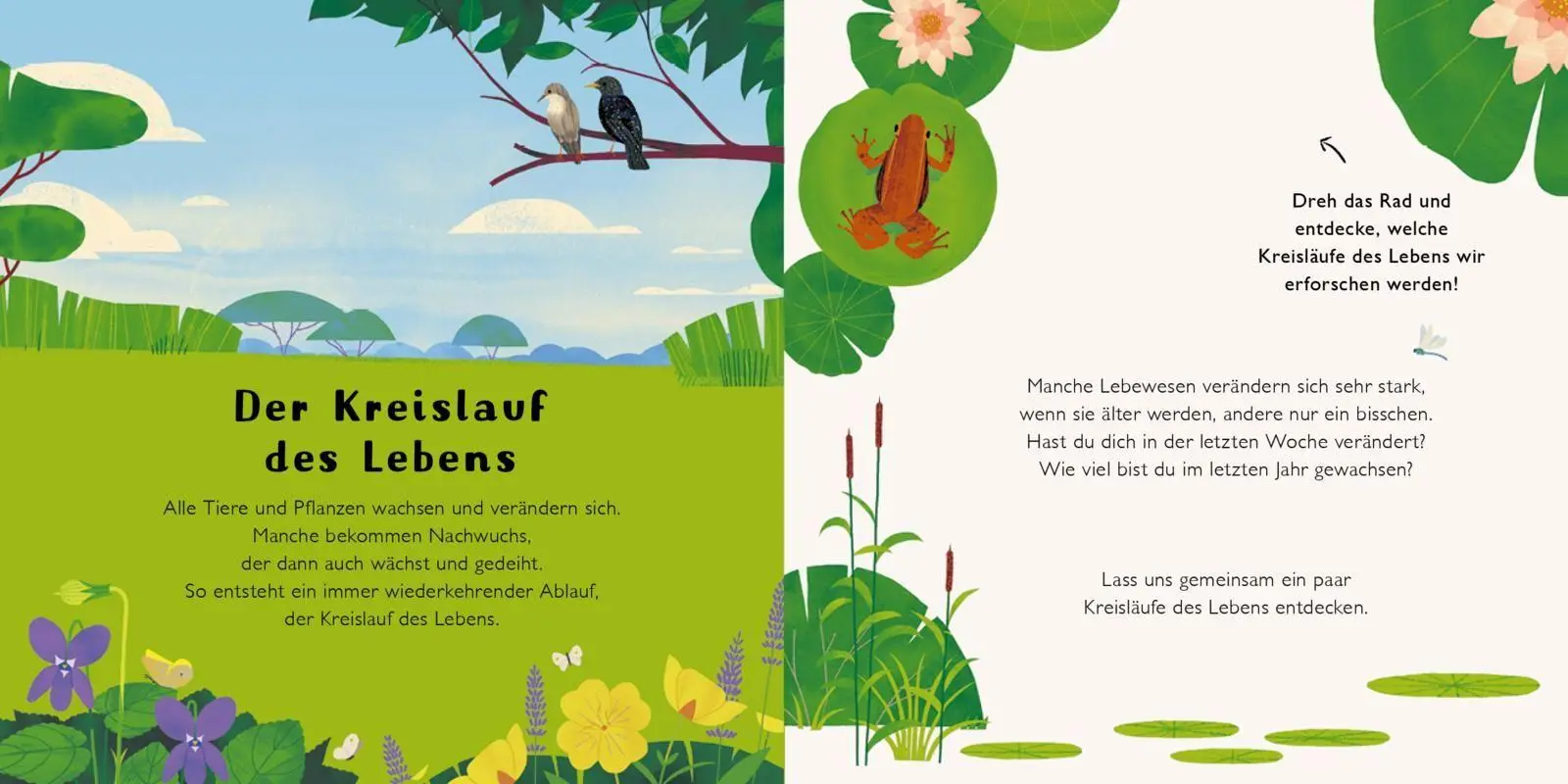 Bild: 9783747401941 | Was wächst da? | Harriet Evans | Buch | 16 S. | Deutsch | 2026