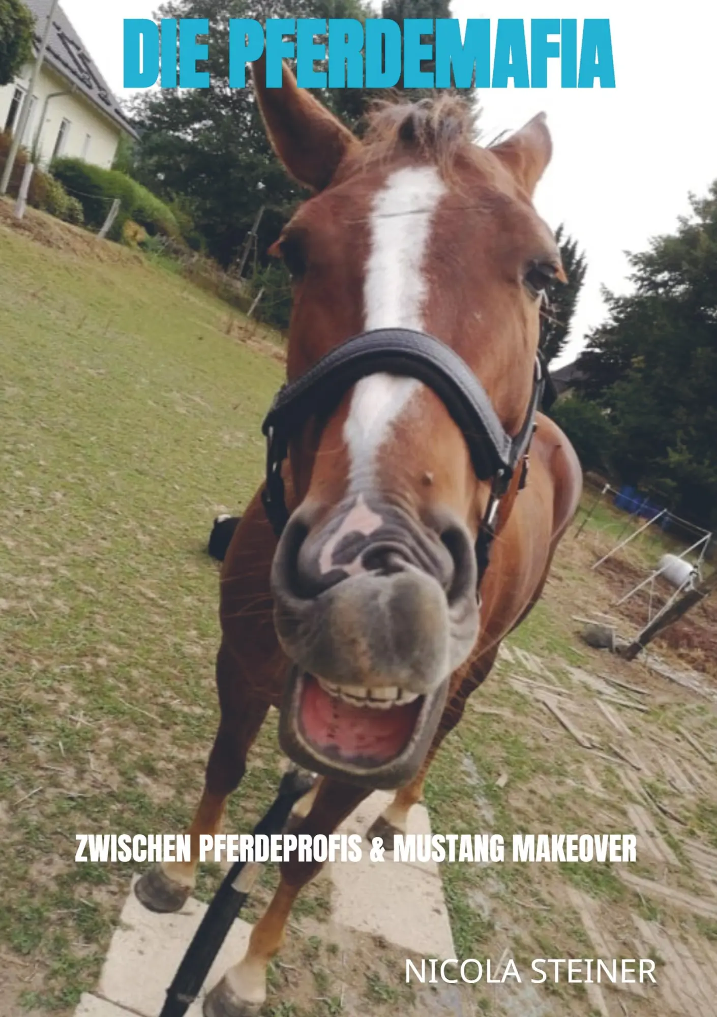 Cover: 9789463981941 | Die Pferdemafia | zwischen Pferdeprofis &amp; Mustang Makeover | Steiner