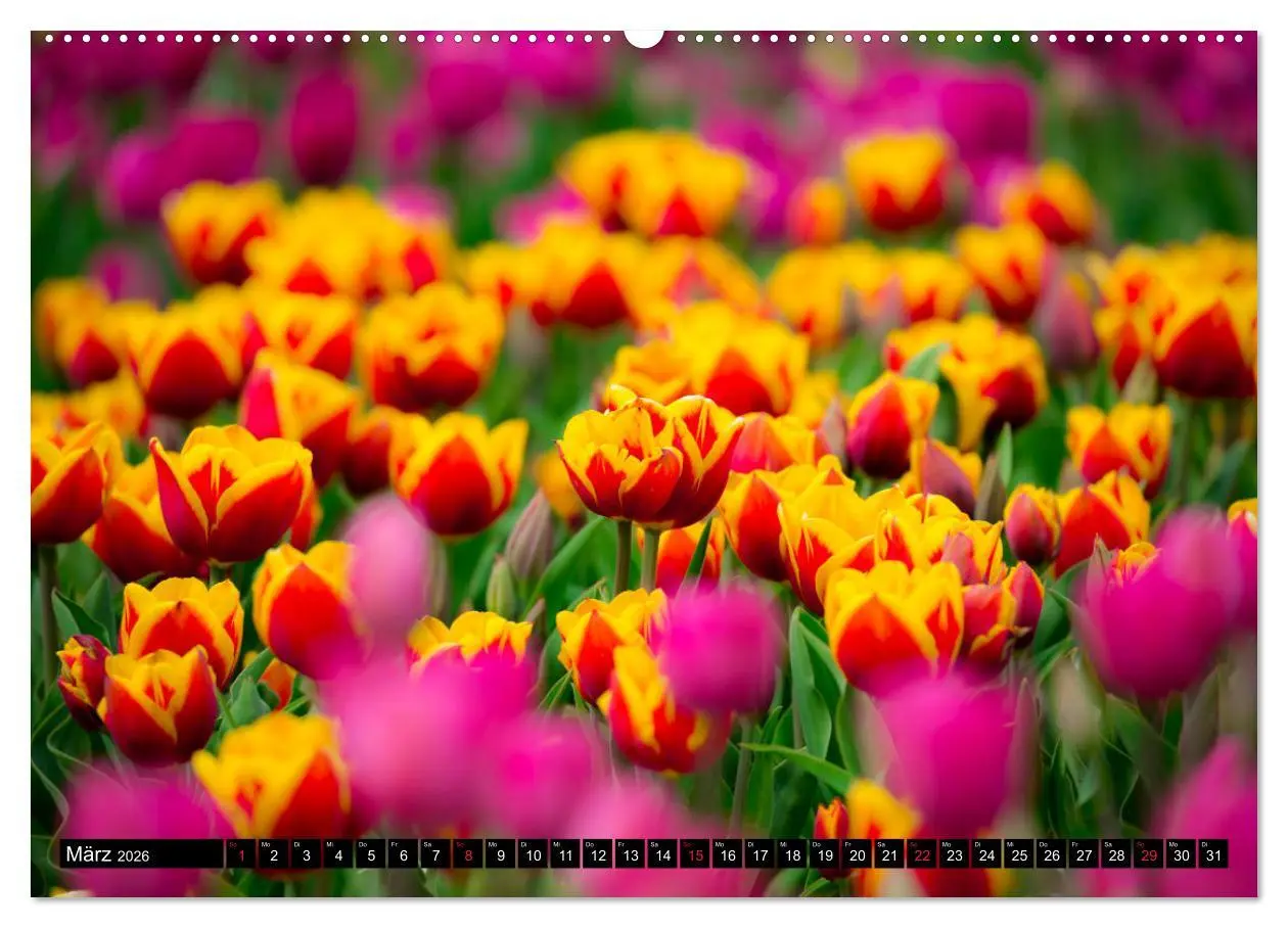 Bild: 9783457692141 | Kleine Blumen ganz groß (hochwertiger Premium Wandkalender 2026 DIN...