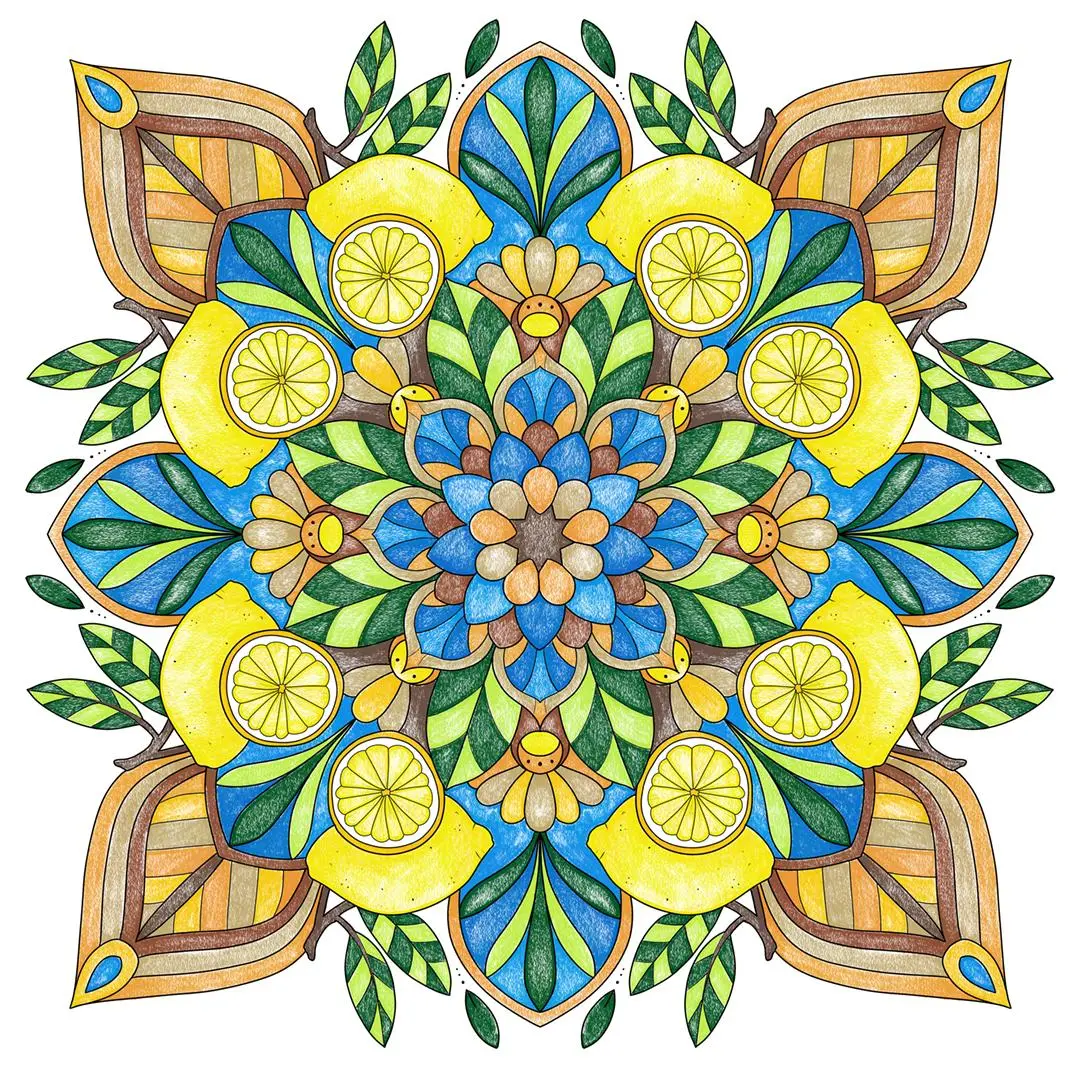 Bild: 9783735882141 | Mandala-Reise | Malen nach Zahlen | Mila Dierksen | Taschenbuch | 2025