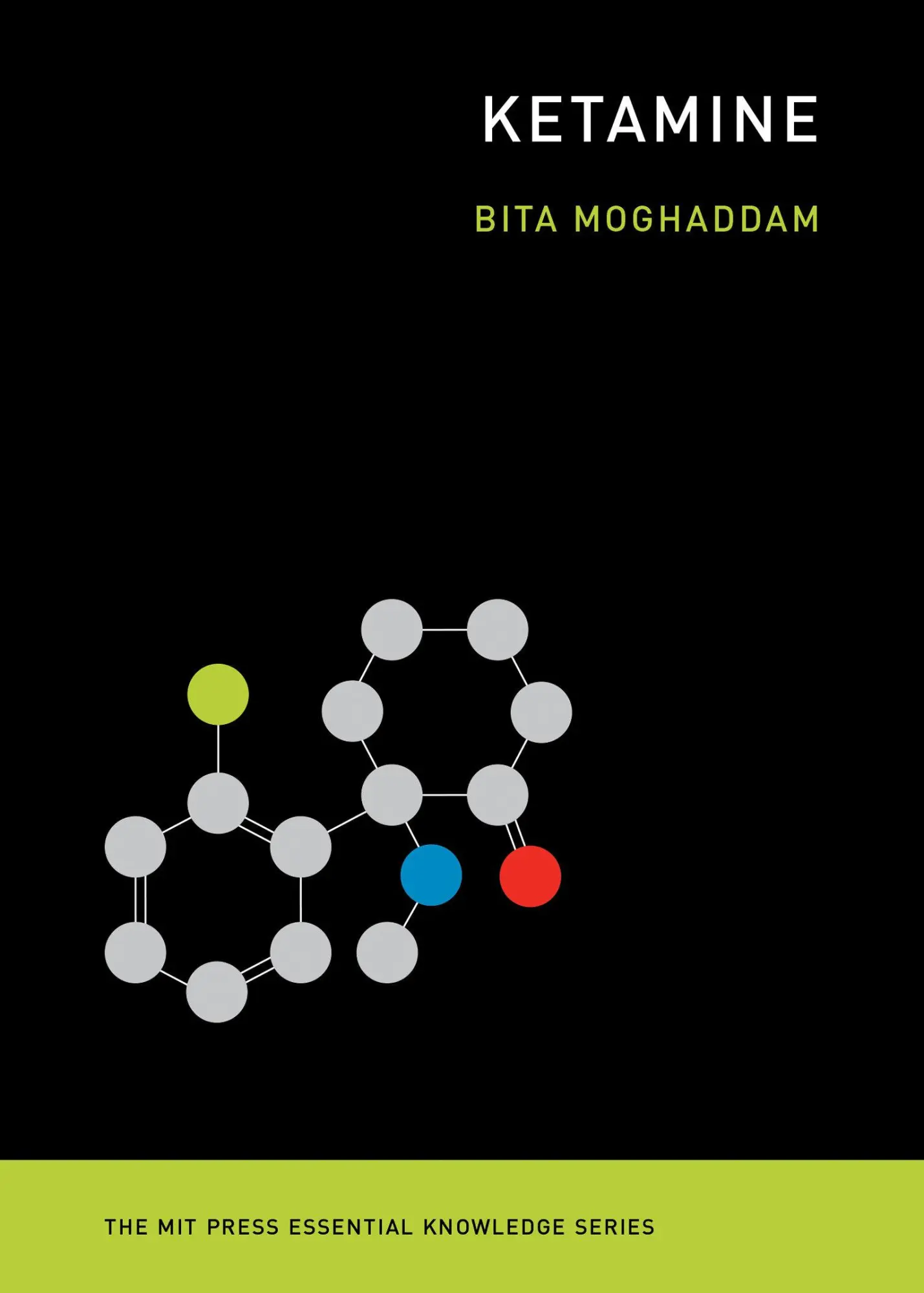 Cover: 9780262542241 | Ketamine | Bita Moghaddam | Taschenbuch | Einband - flex.(Paperback)