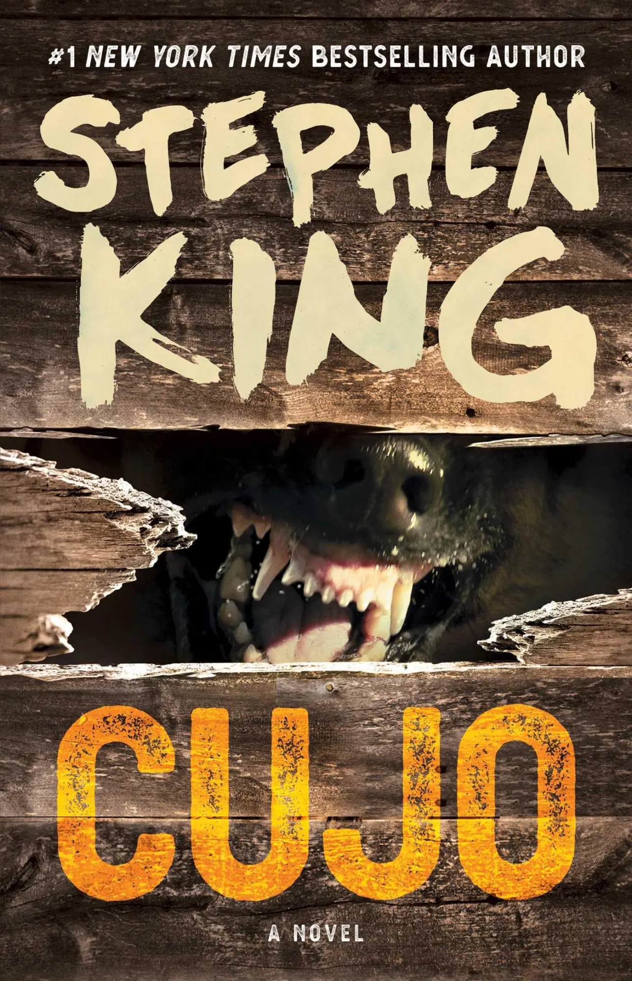 Cover: 9781501192241 | Cujo | Stephen King | Taschenbuch | Kartoniert / Broschiert | Englisch