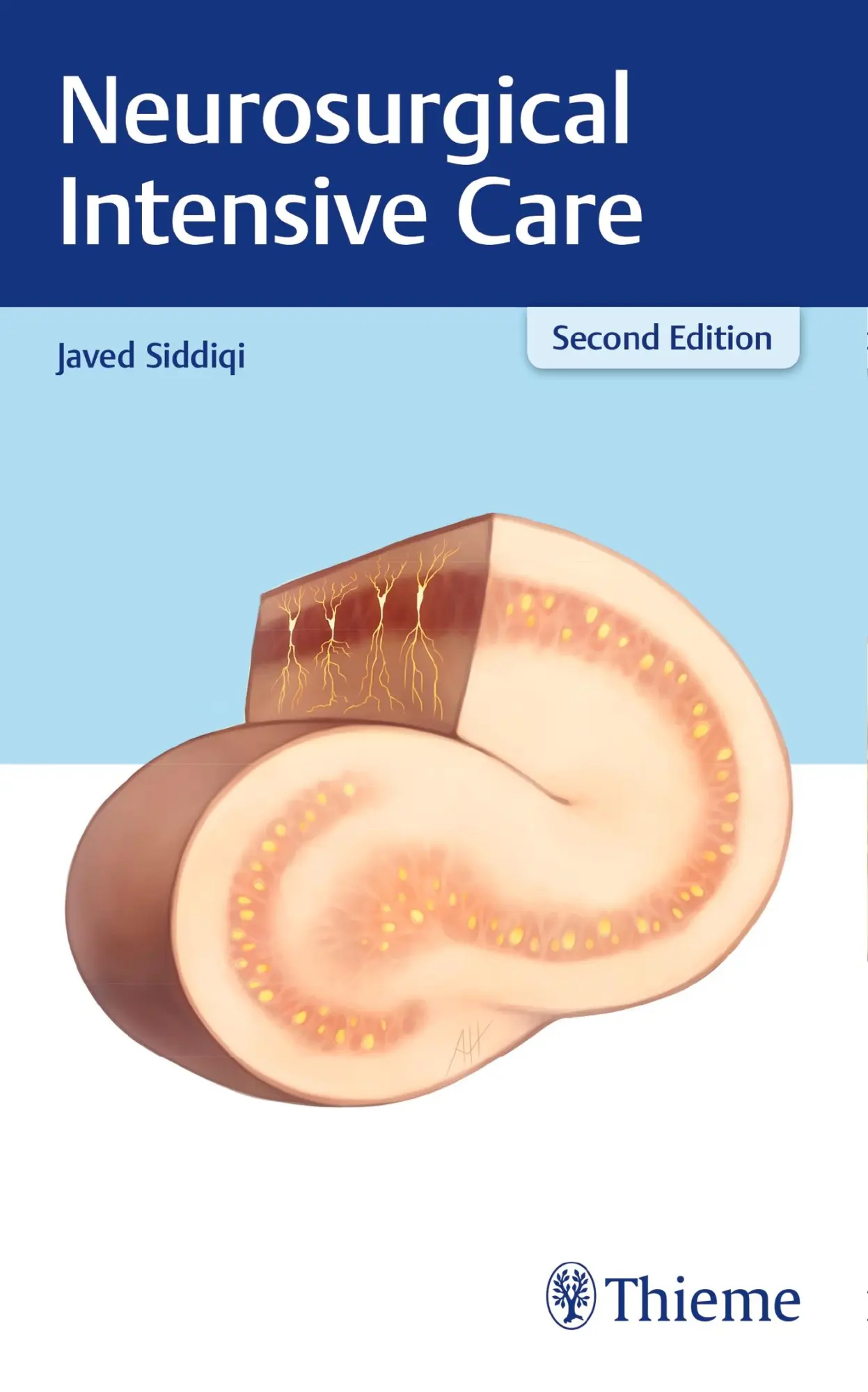 Cover: 9781626232341 | Neurosurgical Intensive Care | Javed Siddiqi | Taschenbuch | 576 S.