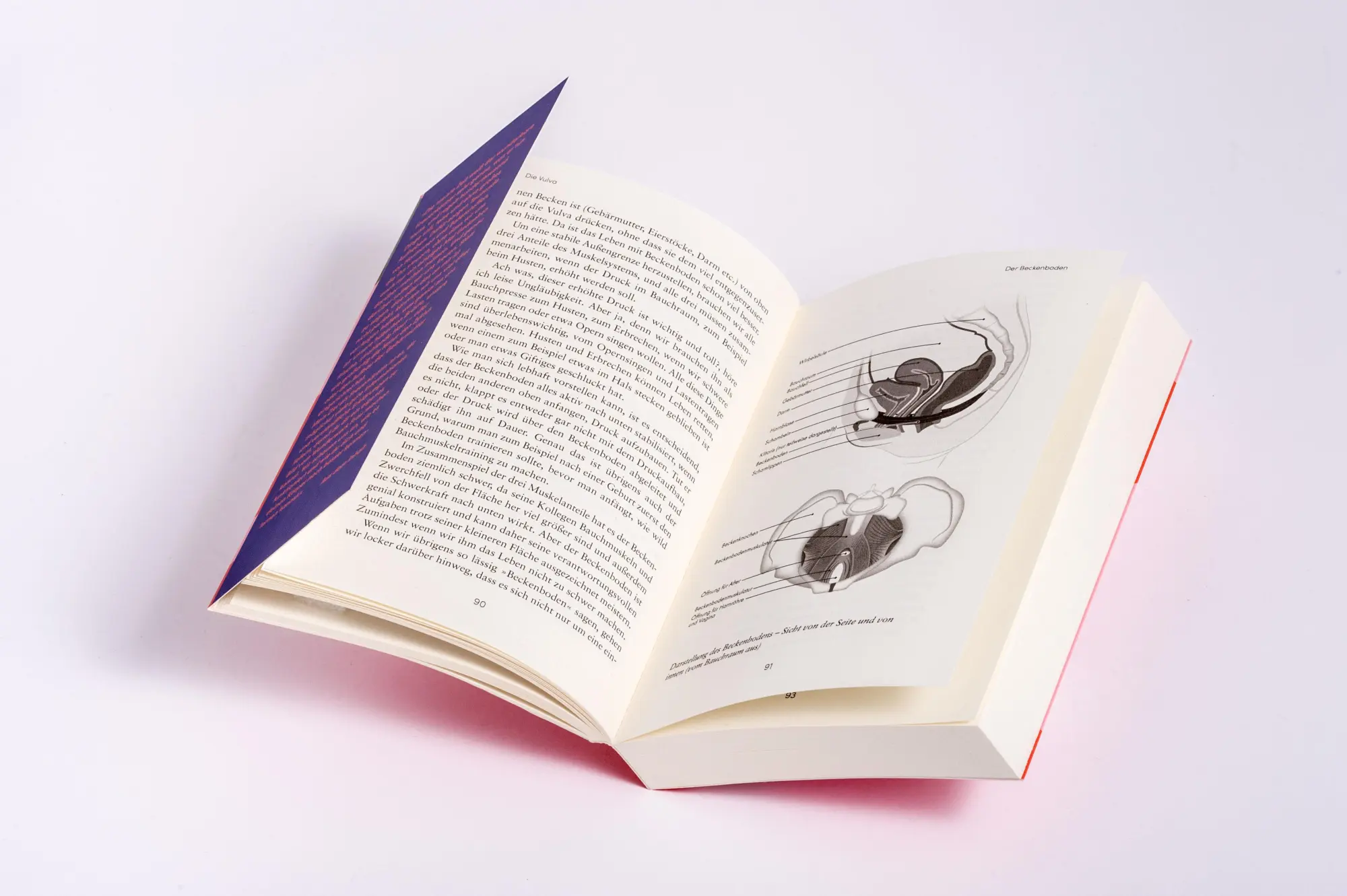 Bild: 9783328112341 | Wir Superheldinnen | Dorothee Biener | Taschenbuch | 368 S. | Deutsch