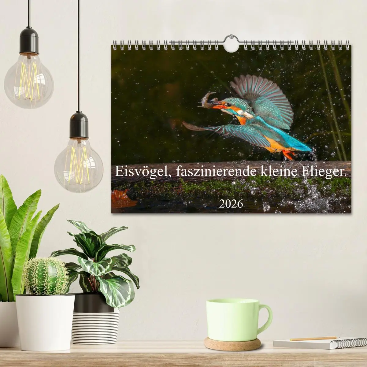 Bild: 9783457742341 | Eisvögel, faszinierende kleine Flieger. (Wandkalender 2026 DIN A4...