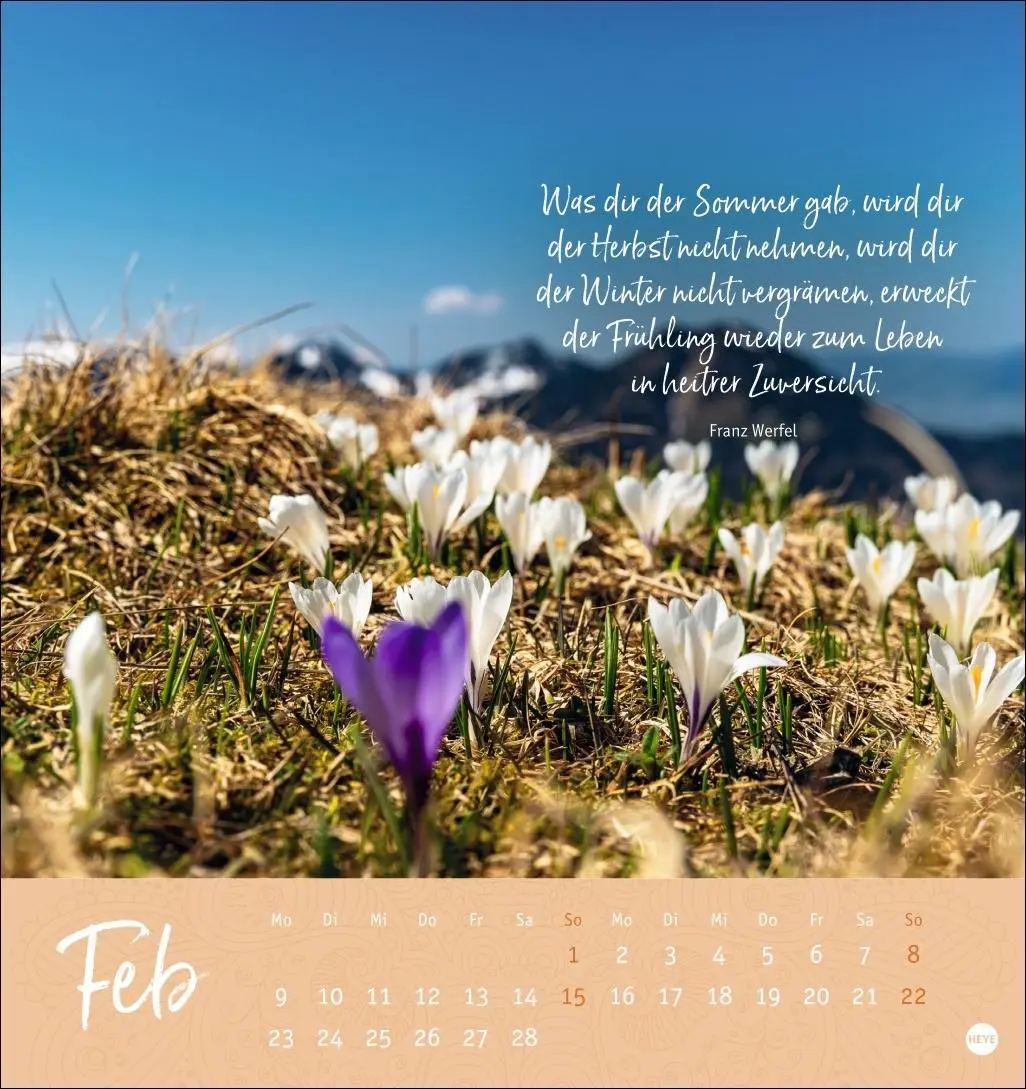 Bild: 9783756412341 | Augenblicke voller Zuversicht Postkartenkalender 2026 | Kalender