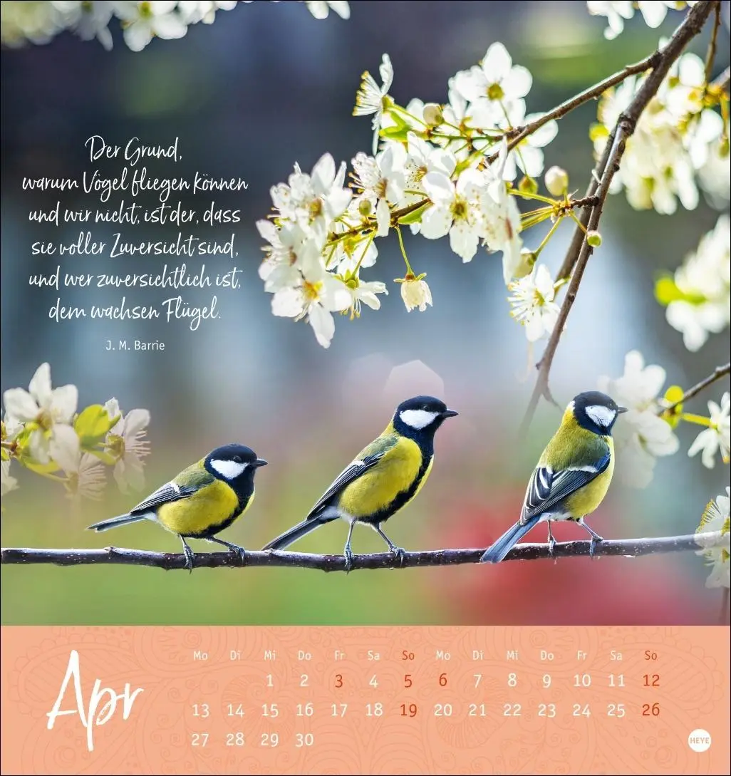 Bild: 9783756412341 | Augenblicke voller Zuversicht Postkartenkalender 2026 | Kalender
