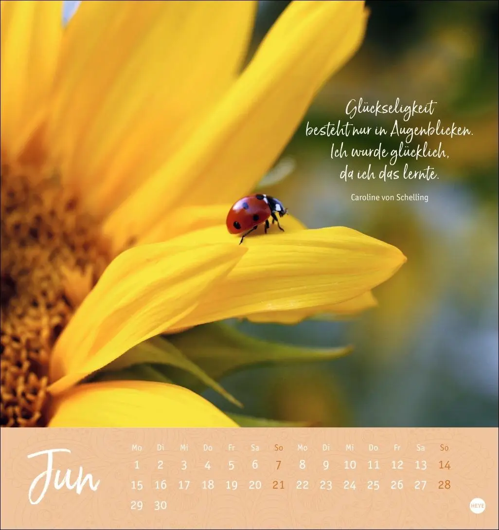 Bild: 9783756412341 | Augenblicke voller Zuversicht Postkartenkalender 2026 | Kalender