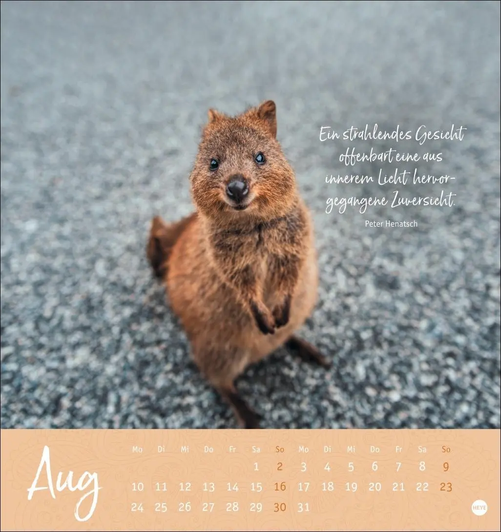 Bild: 9783756412341 | Augenblicke voller Zuversicht Postkartenkalender 2026 | Kalender