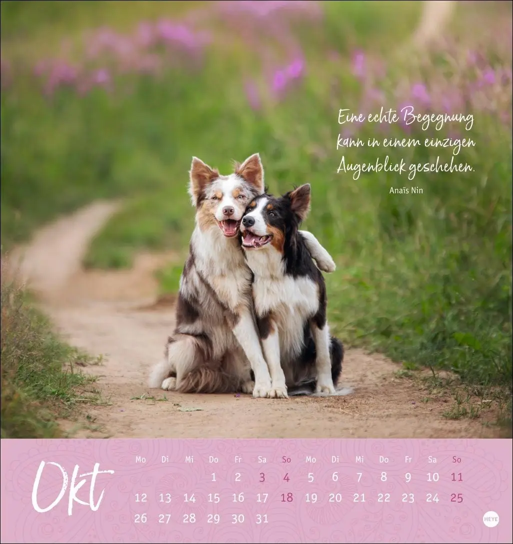 Bild: 9783756412341 | Augenblicke voller Zuversicht Postkartenkalender 2026 | Kalender