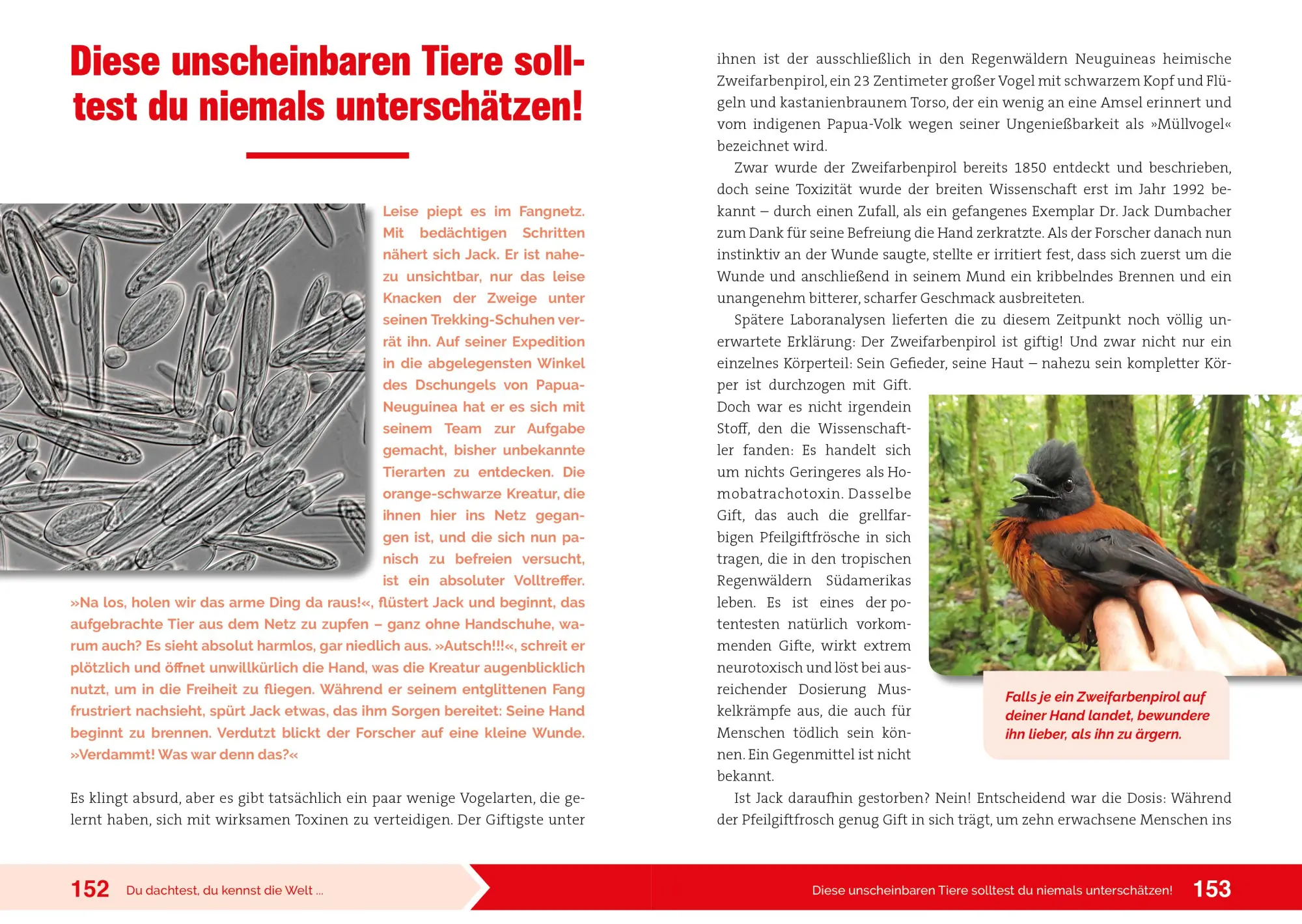 Bild: 9783969052341 | Du dachtest, du kennst die Welt... | Wissensbert | Taschenbuch | 2023