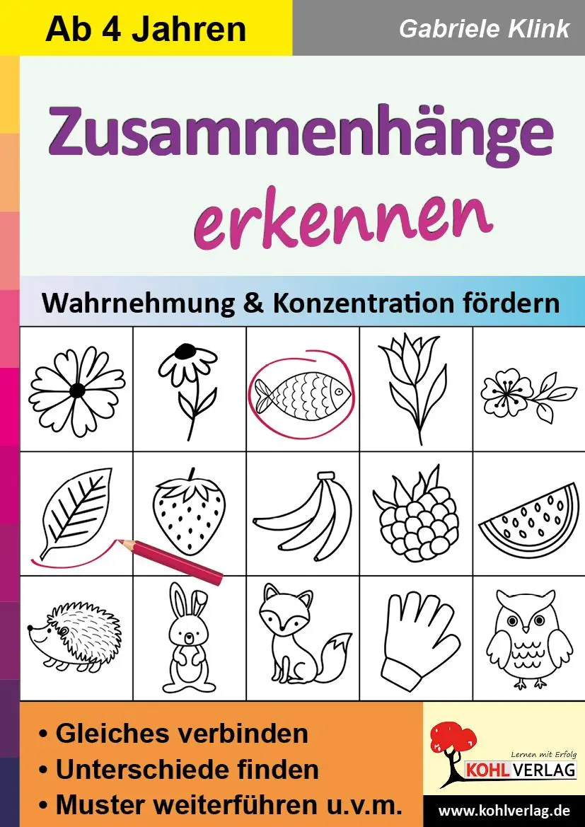 Cover: 9783985582341 | Zusammenhänge erkennen | Wahrnehmung &amp; Konzentration fördern | Klink