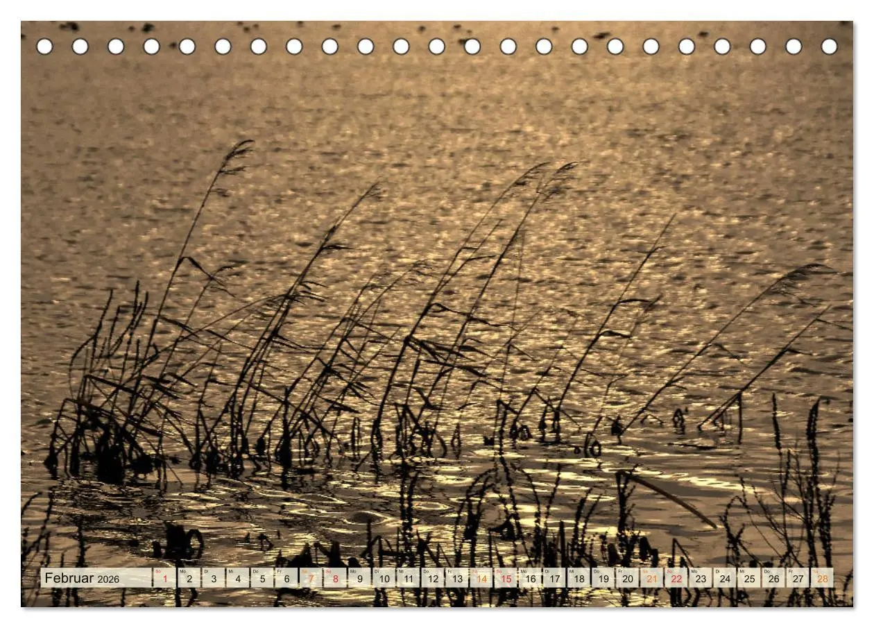 Bild: 9783457732441 | Landschaft an der Wümme (Tischkalender 2026 DIN A5 quer), CALVENDO...