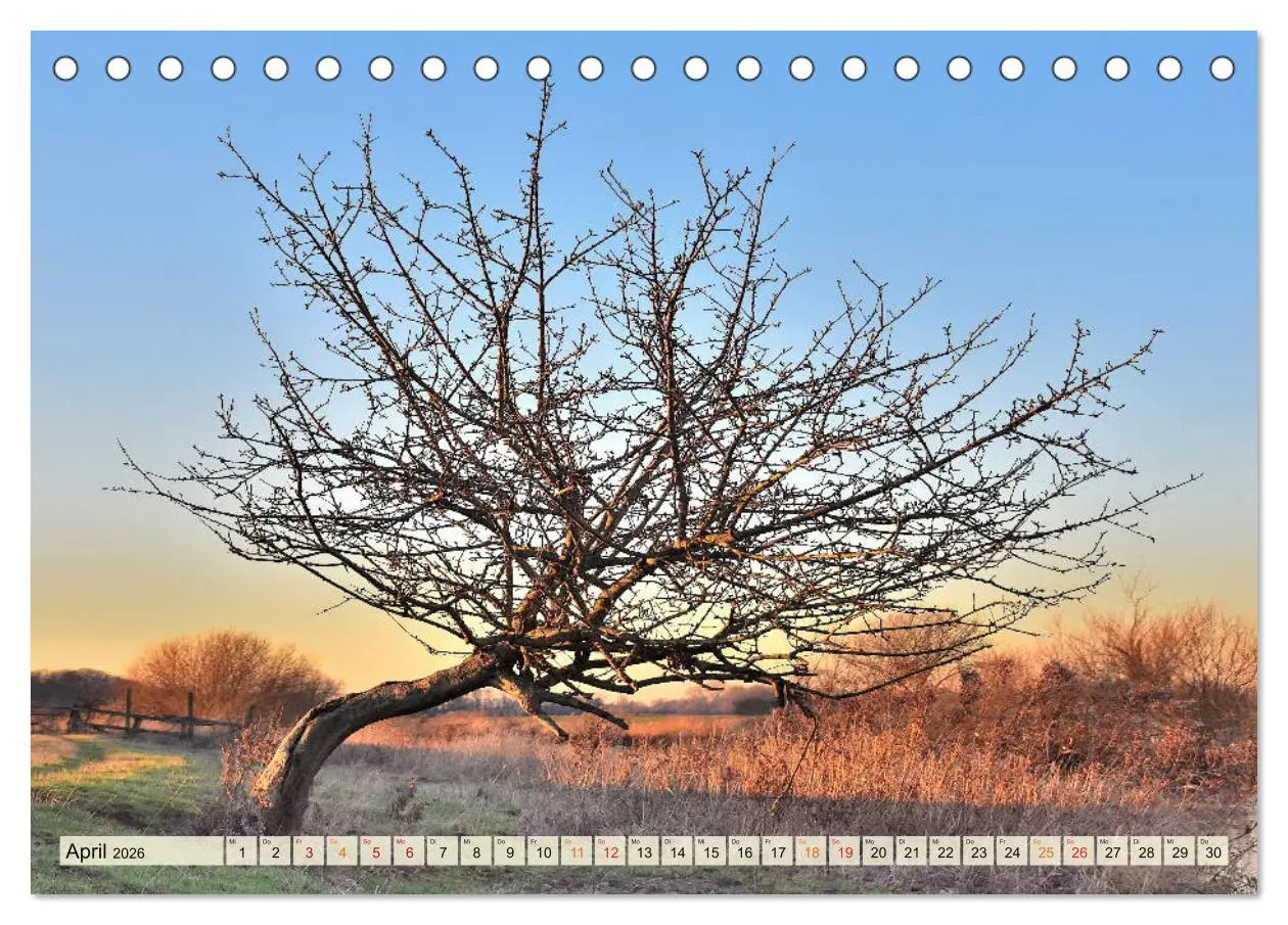 Bild: 9783457732441 | Landschaft an der Wümme (Tischkalender 2026 DIN A5 quer), CALVENDO...
