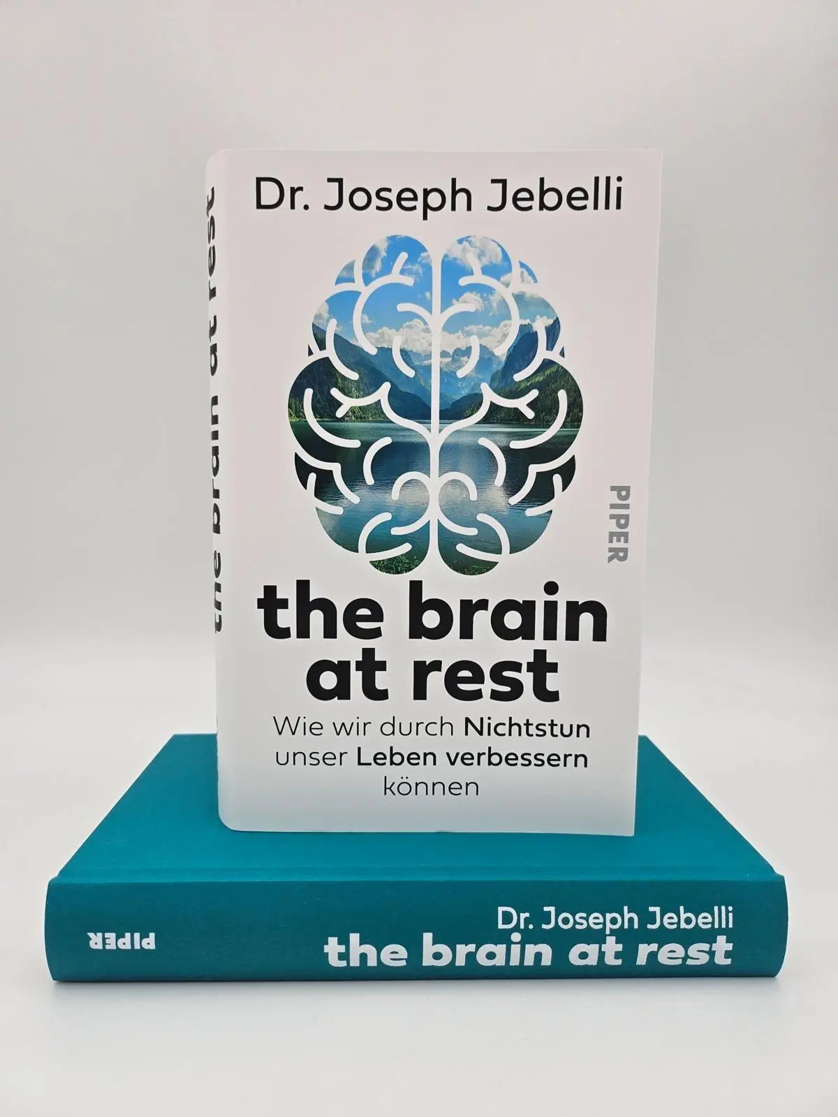 Bild: 9783492072441 | the brain at rest | Joseph Jebelli | Buch | 320 S. | Deutsch | 2025