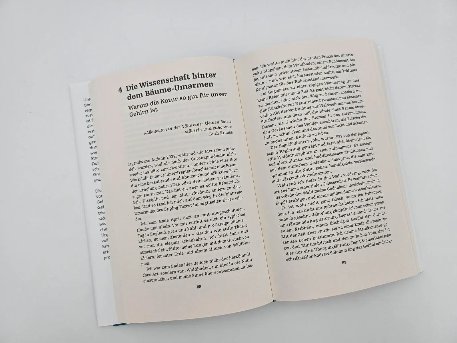 Bild: 9783492072441 | the brain at rest | Joseph Jebelli | Buch | 320 S. | Deutsch | 2025