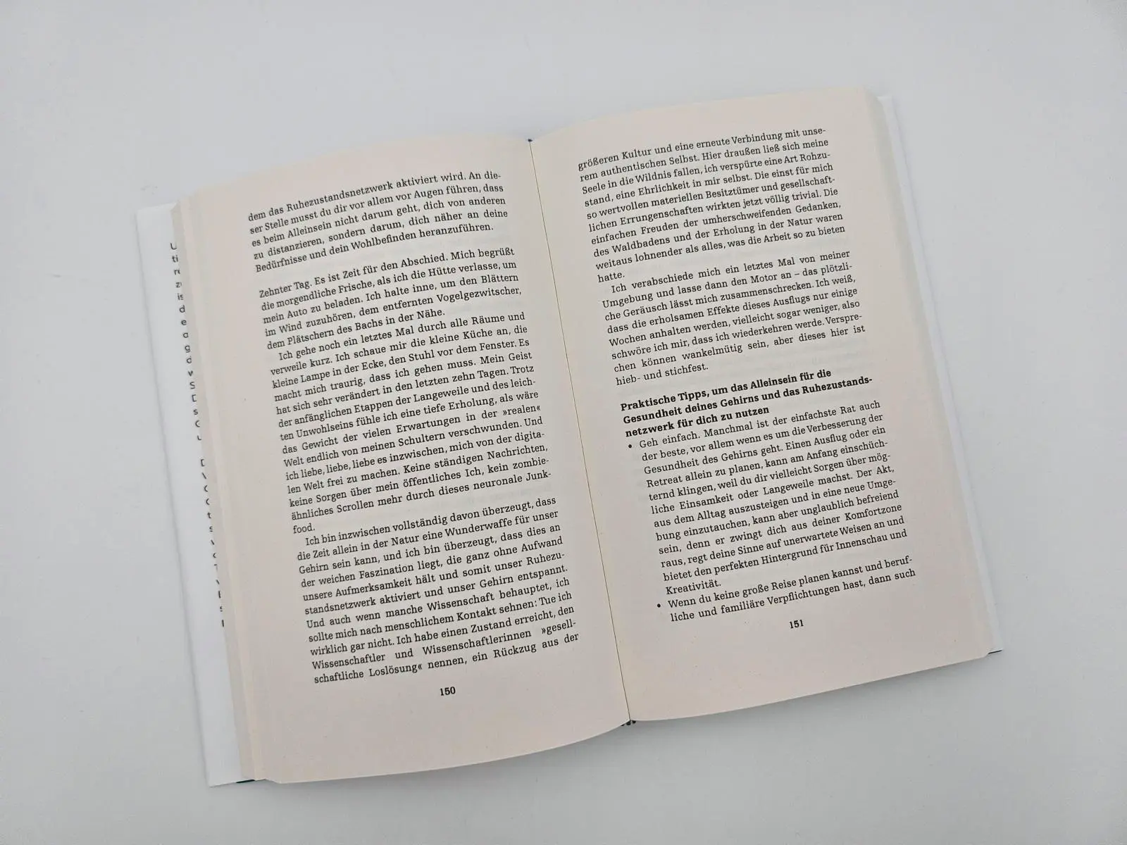 Bild: 9783492072441 | the brain at rest | Joseph Jebelli | Buch | 320 S. | Deutsch | 2025