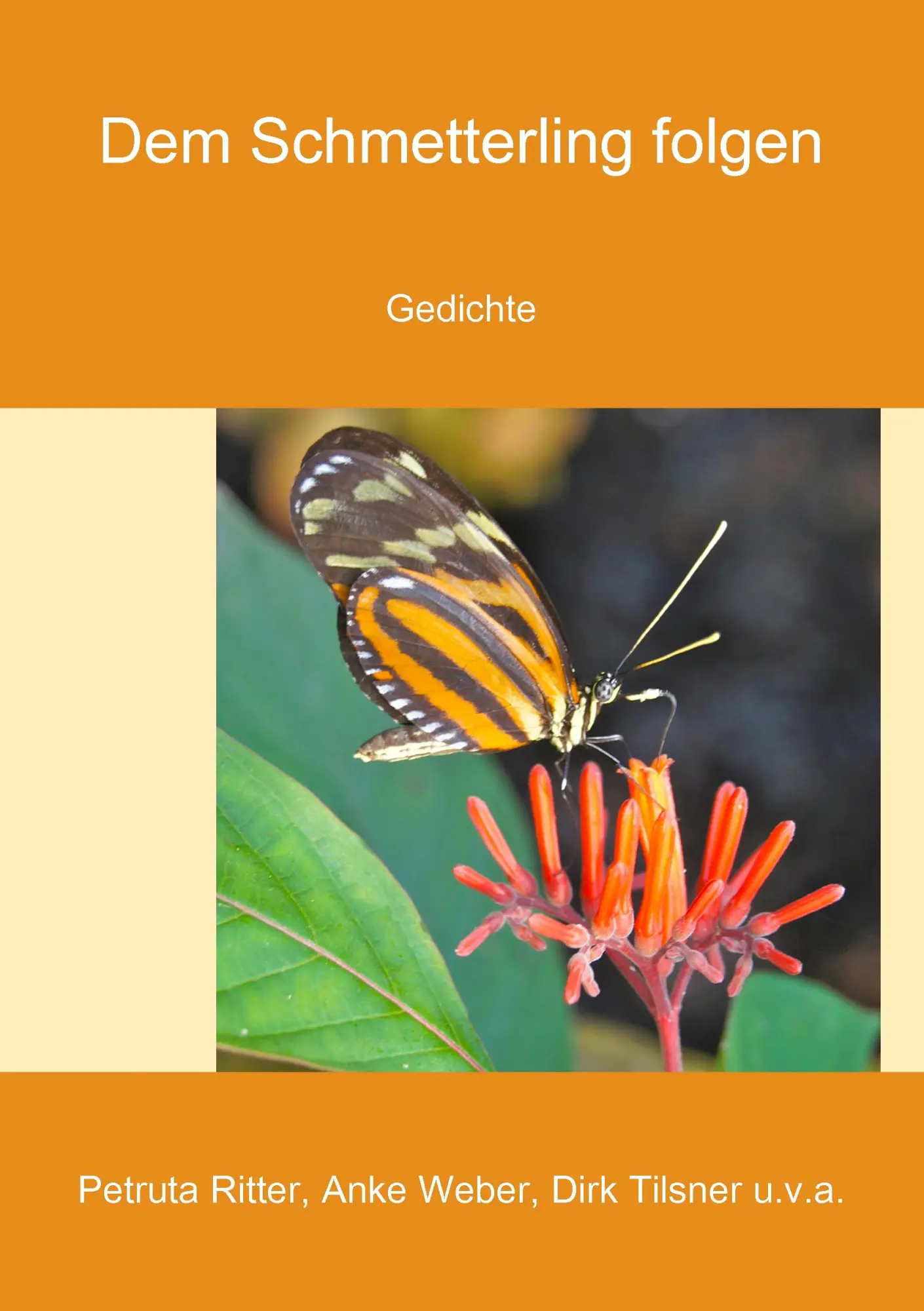 Dem Schmetterling folgen: Gedichte