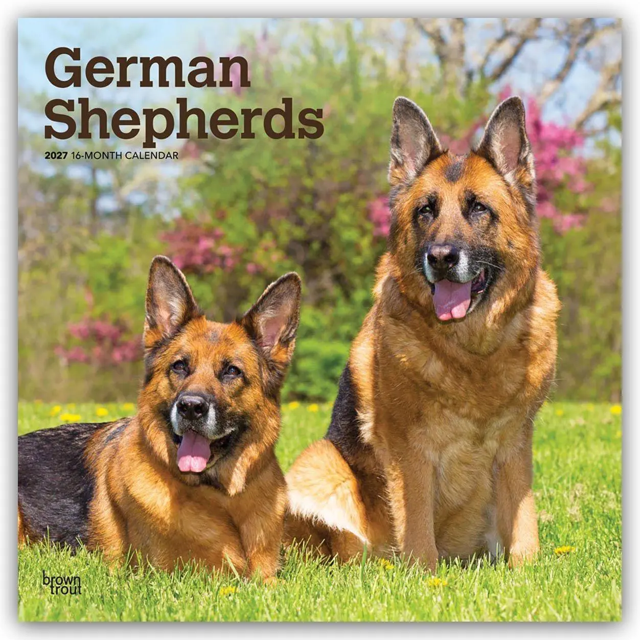 Cover: 9798330712441 | German Shepherds - Deutsche Schäferhunde 2027 - 16-Monatskalender