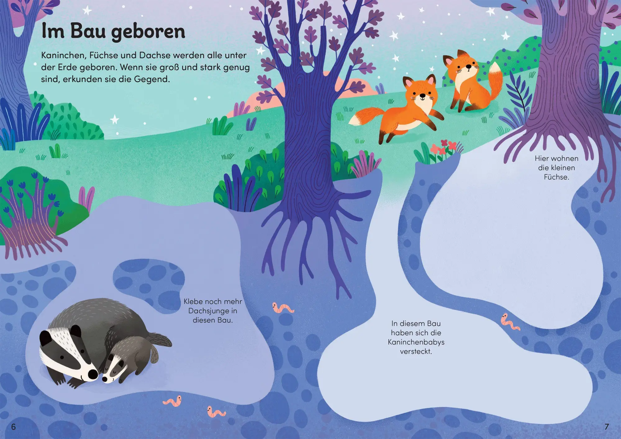 Bild: 9781035702541 | Mein Immer-wieder-Stickerbuch: Tierkinder | Eva Rojas | Taschenbuch