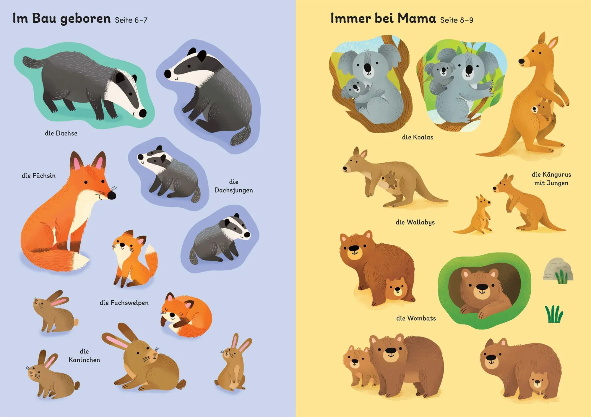 Bild: 9781035702541 | Mein Immer-wieder-Stickerbuch: Tierkinder | Eva Rojas | Taschenbuch