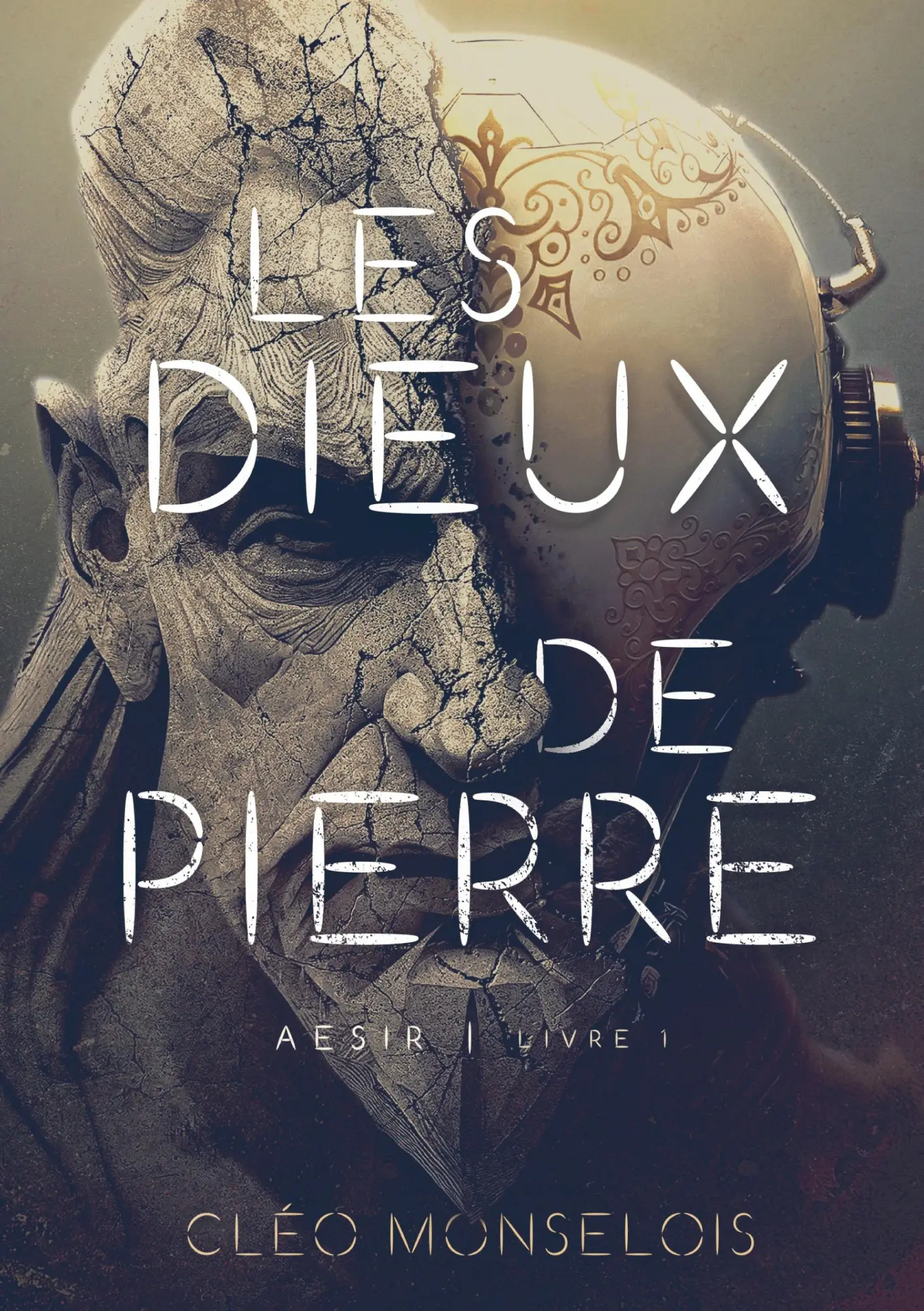 Cover: 9782322012541 | Les Dieux de Pierre | Aesir - Livre 1 | Cléo Monselois | Taschenbuch