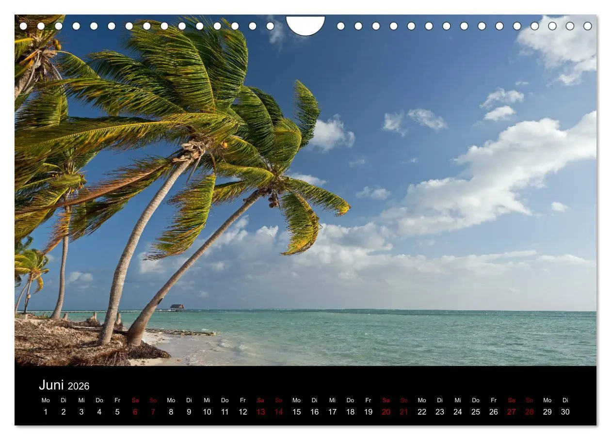 Bild: 9783457892541 | Kuba 2026 (Wandkalender 2026 DIN A4 quer), CALVENDO Monatskalender