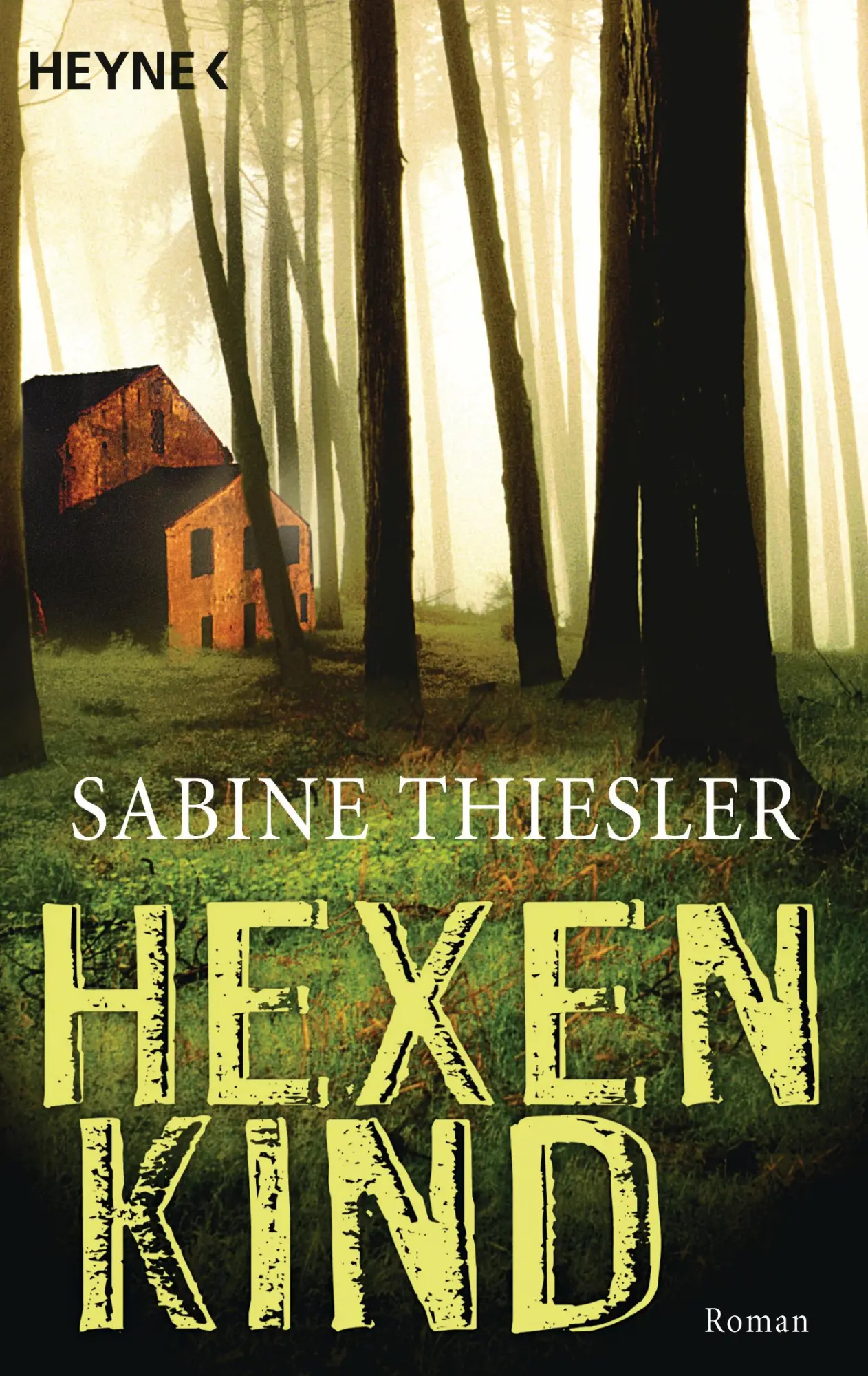 Cover: 9783453432741 | Hexenkind | Sabine Thiesler | Taschenbuch | 574 S. | Deutsch | 2007