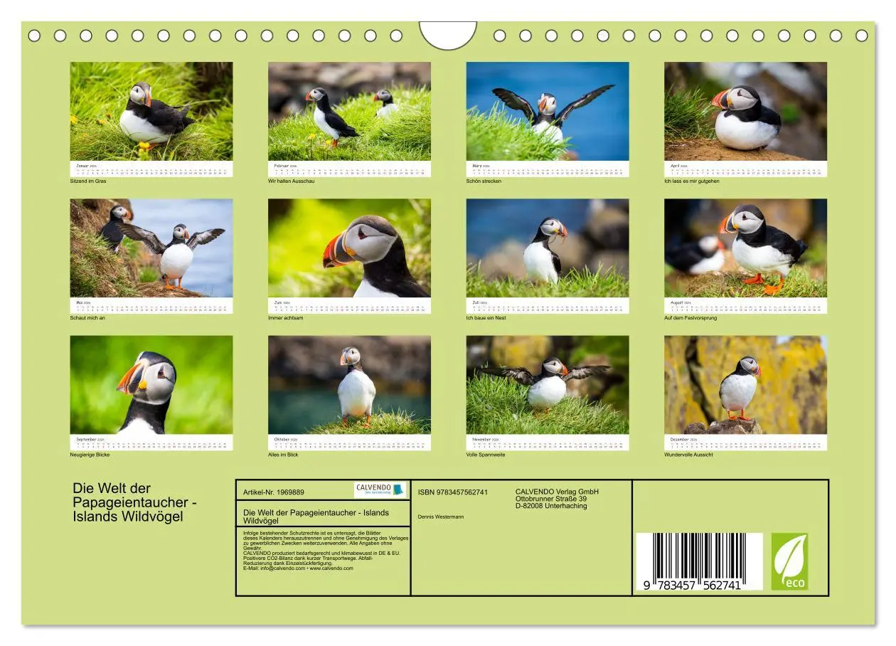 Bild: 9783457562741 | Die Welt der Papageientaucher - Islands Wildvögel (Wandkalender...