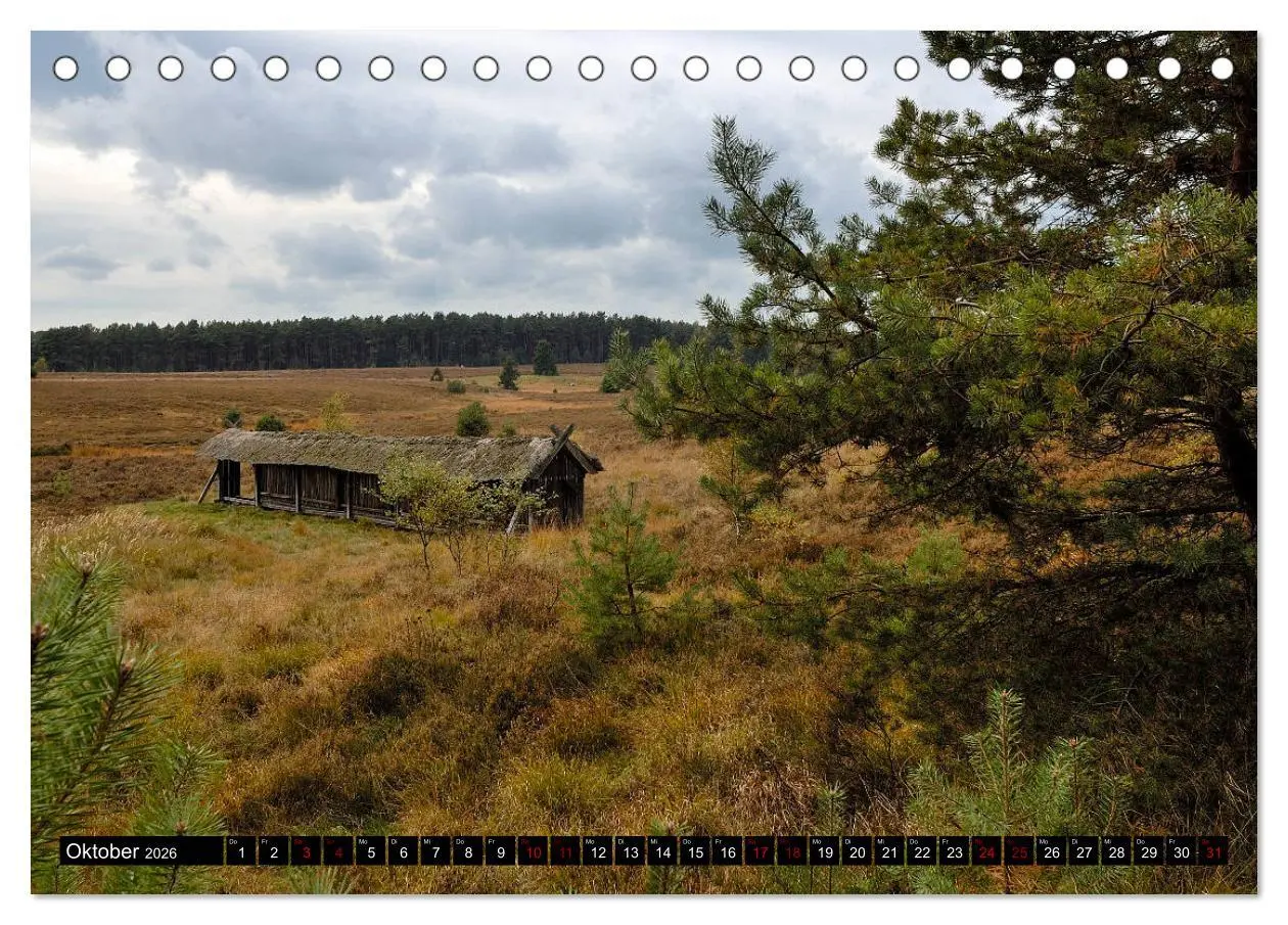 Bild: 9783457872741 | Lüneburger Heide (Tischkalender 2026 DIN A5 quer), CALVENDO...
