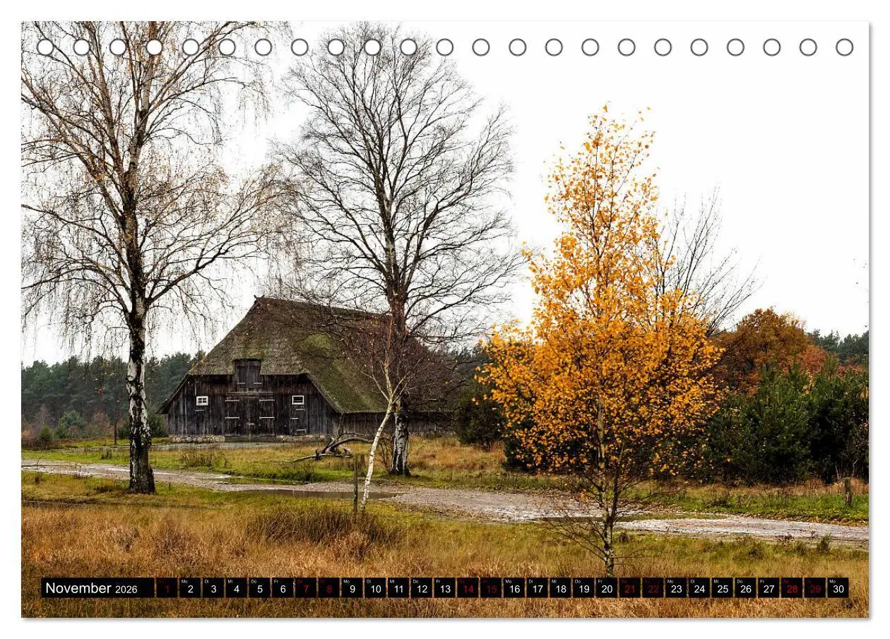 Bild: 9783457872741 | Lüneburger Heide (Tischkalender 2026 DIN A5 quer), CALVENDO...