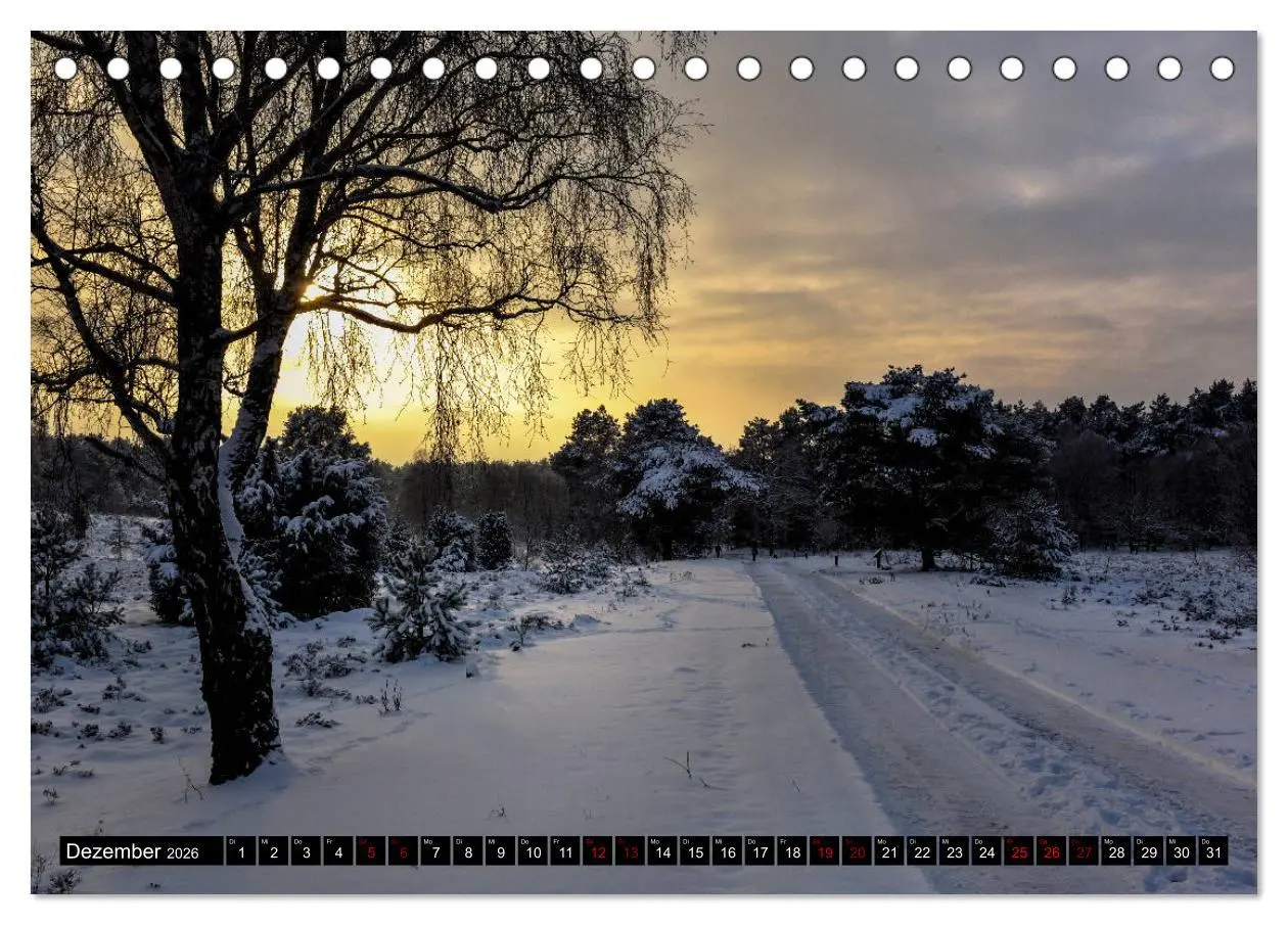 Bild: 9783457872741 | Lüneburger Heide (Tischkalender 2026 DIN A5 quer), CALVENDO...