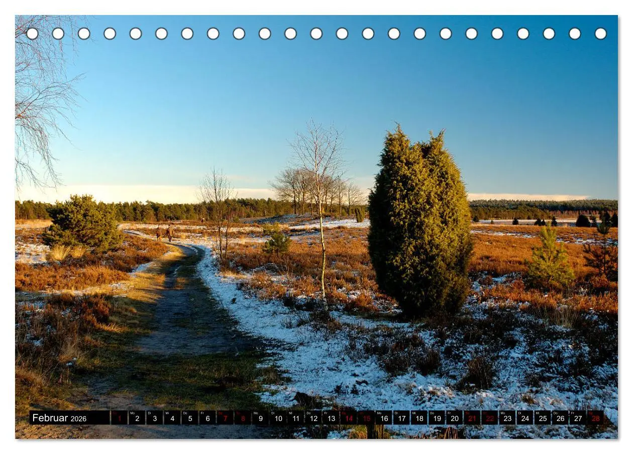 Bild: 9783457872741 | Lüneburger Heide (Tischkalender 2026 DIN A5 quer), CALVENDO...