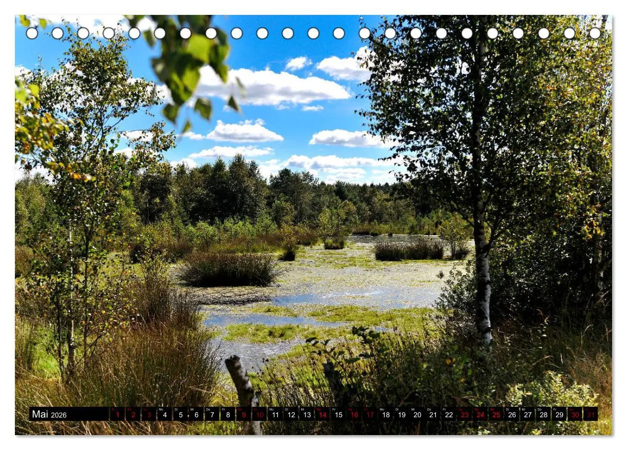 Bild: 9783457872741 | Lüneburger Heide (Tischkalender 2026 DIN A5 quer), CALVENDO...