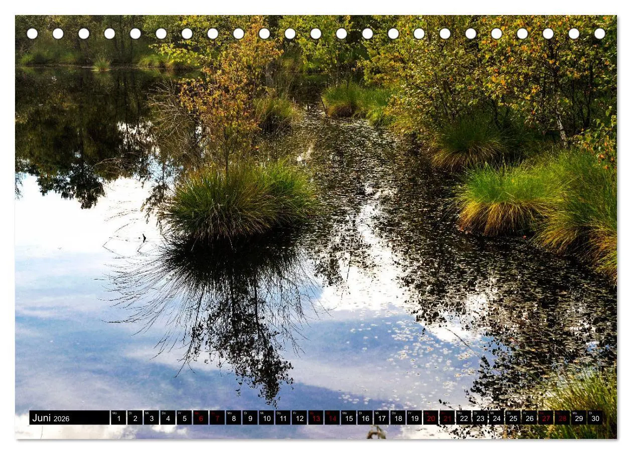 Bild: 9783457872741 | Lüneburger Heide (Tischkalender 2026 DIN A5 quer), CALVENDO...