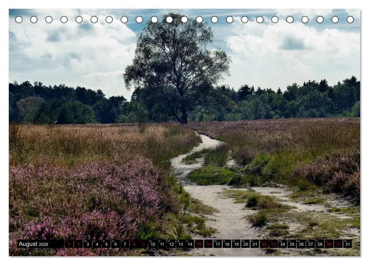 Bild: 9783457872741 | Lüneburger Heide (Tischkalender 2026 DIN A5 quer), CALVENDO...