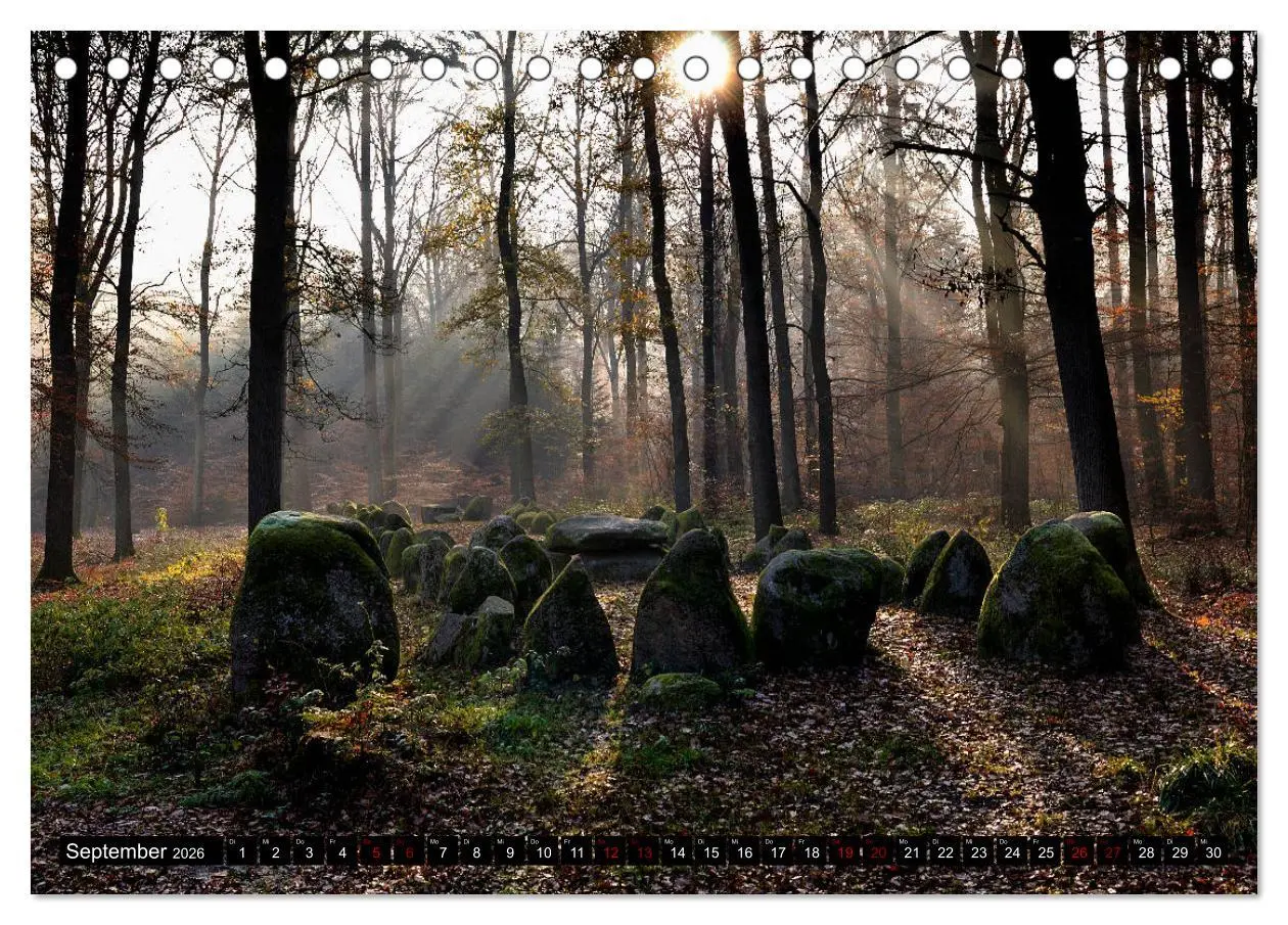 Bild: 9783457872741 | Lüneburger Heide (Tischkalender 2026 DIN A5 quer), CALVENDO...