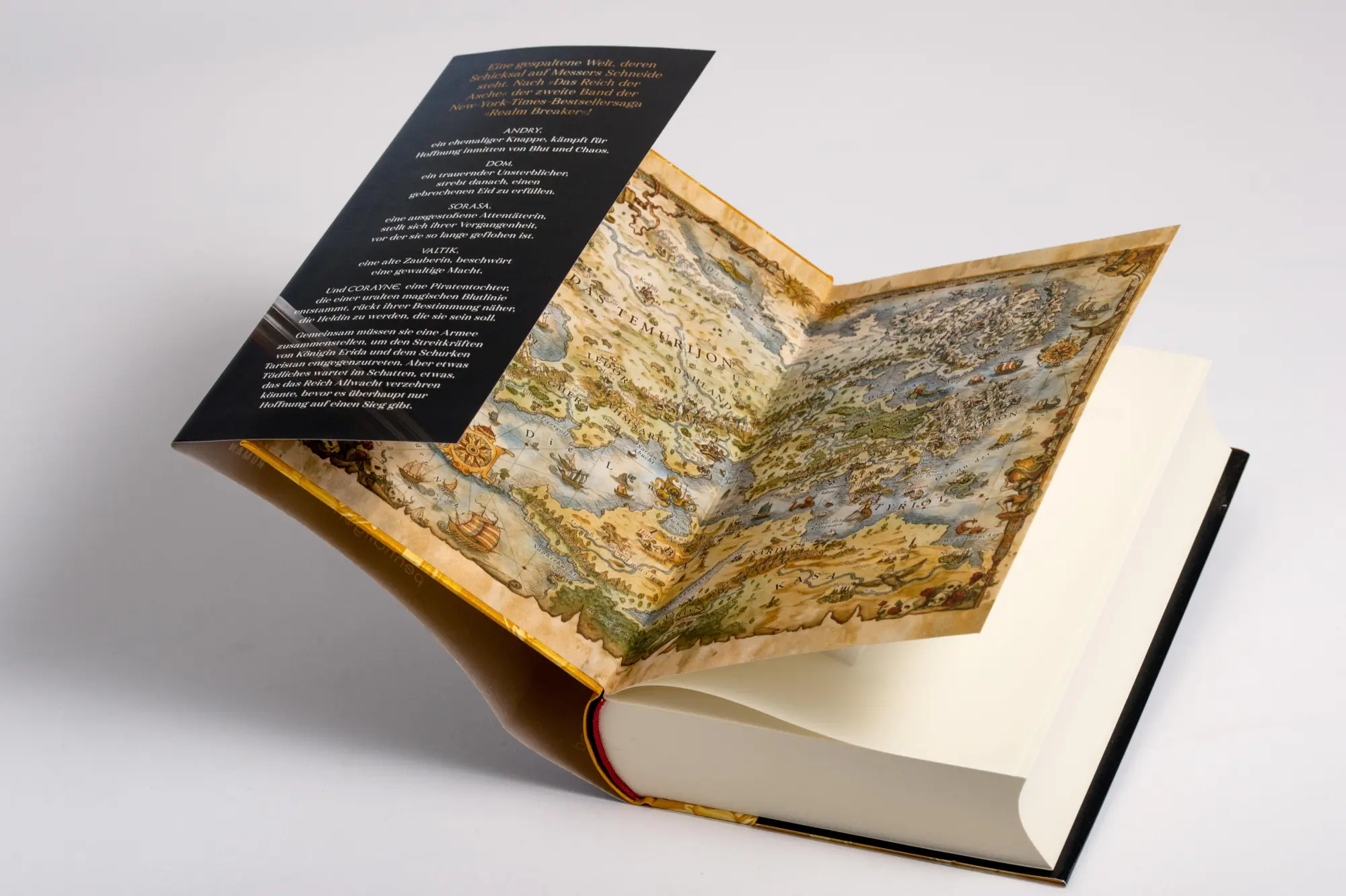 Bild: 9783764532741 | Das Reich der Klingen - Realm Breaker 2 | Victoria Aveyard | Buch
