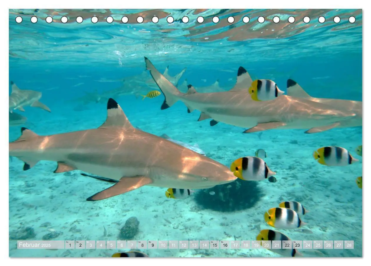 Bild: 9783435222841 | Bora Bora - Strände und Landschaften (Tischkalender 2025 DIN A5...