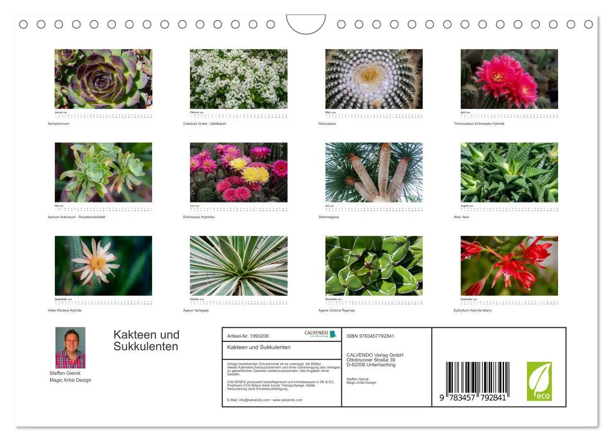 Bild: 9783457792841 | Kakteen und Sukkulenten (Wandkalender 2026 DIN A4 quer), CALVENDO...