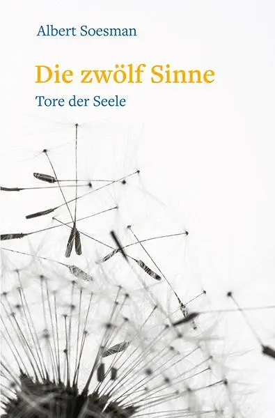 Cover: 9783772512841 | Die zwölf Sinne - Tore der Seele | Albert Soesman | Taschenbuch | 2019