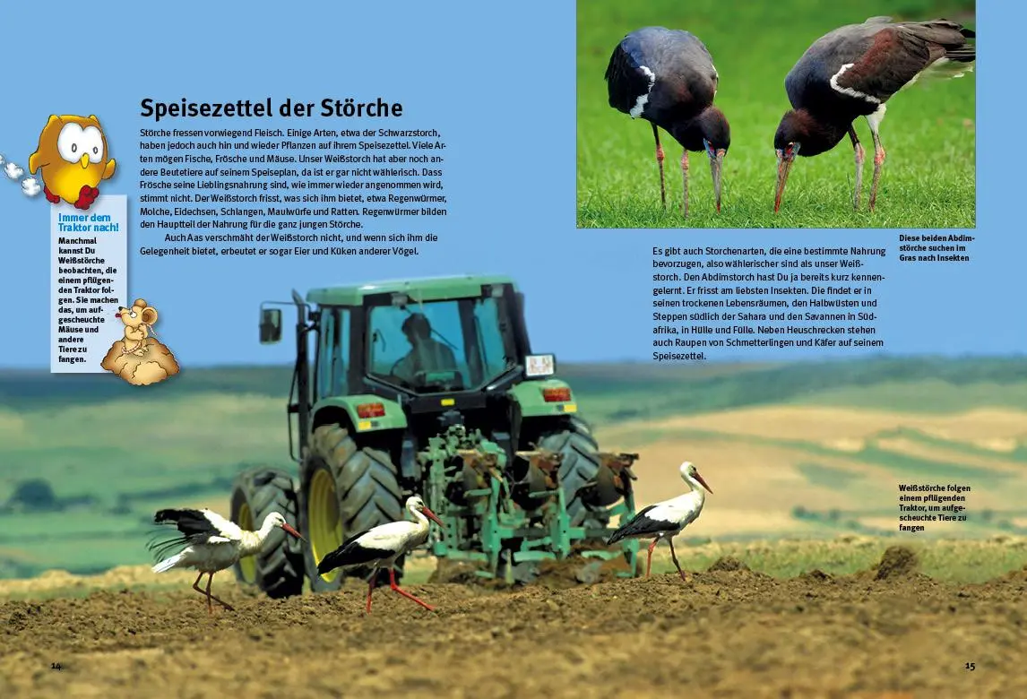 Bild: 9783866592841 | Entdecke die Störche | Thomas Schmidt | Buch | 48 S. | Deutsch | 2016