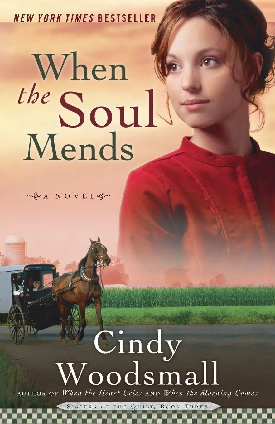 Cover: 9781400072941 | When the Soul Mends | Book 3 in the Sisters of the Quilt Amish Series