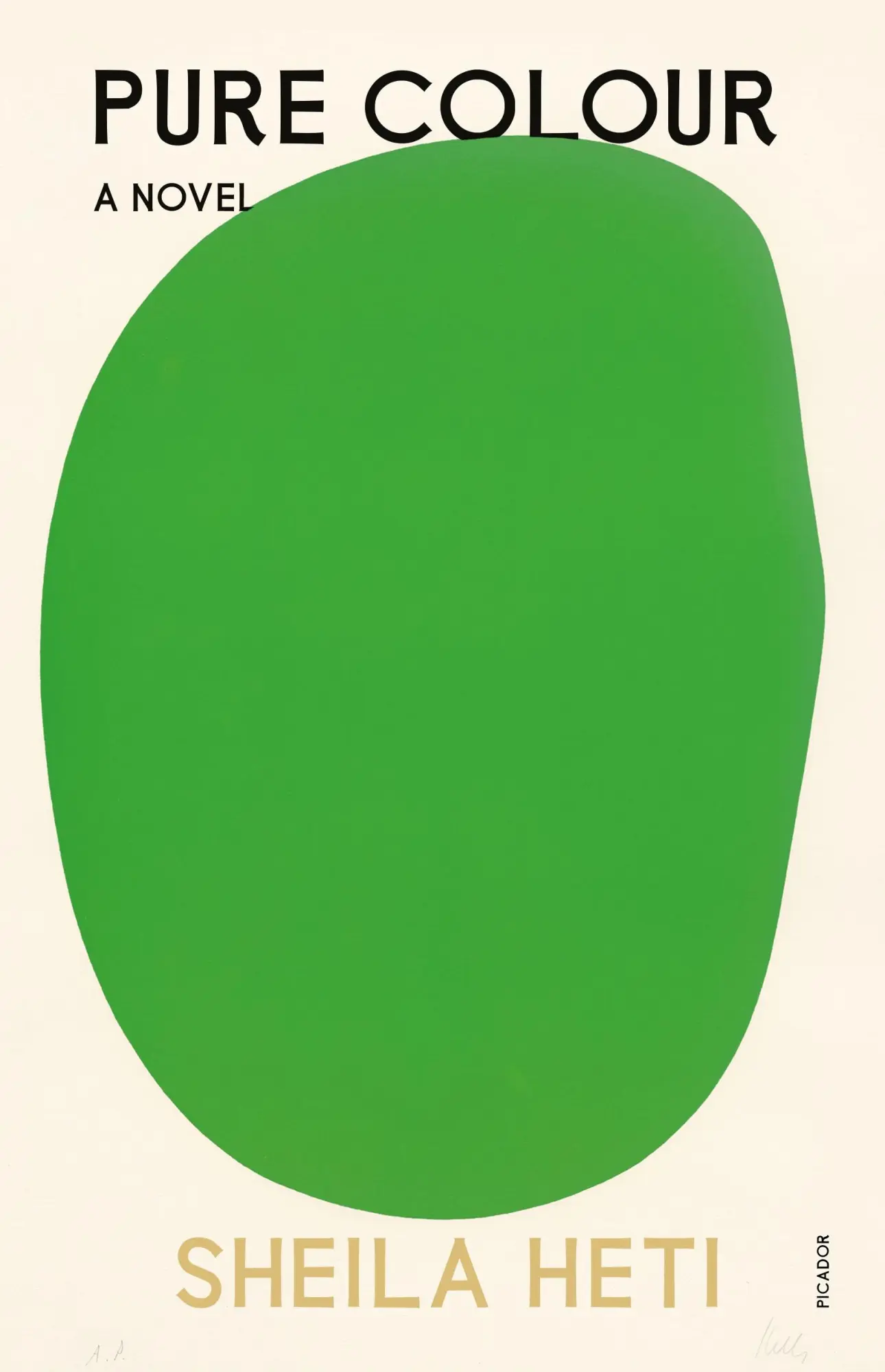 Cover: 9781250863041 | Pure Colour | Sheila Heti | Taschenbuch | Kartoniert / Broschiert