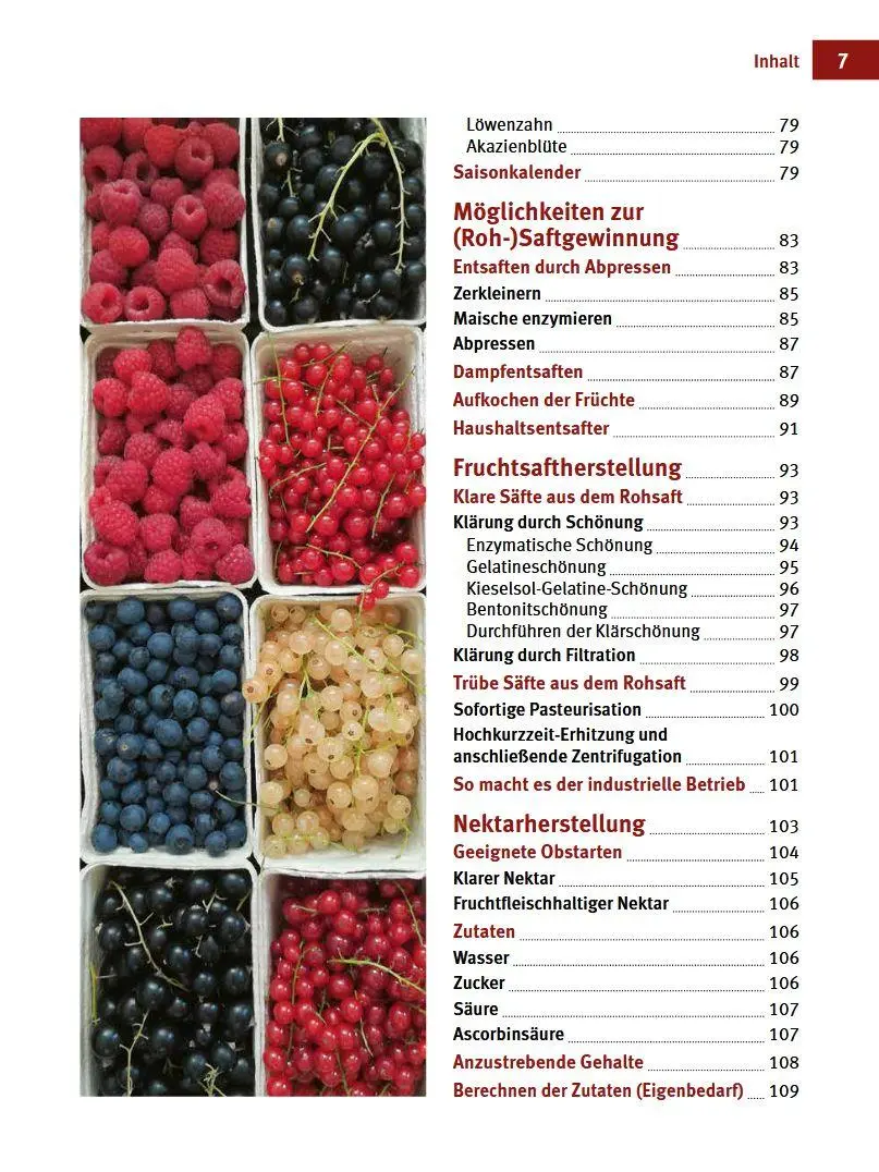 Bild: 9783702023041 | Obstsäfte, Sirup &amp; Nektar | Georg Innerhofer | Buch | 184 S. | Deutsch