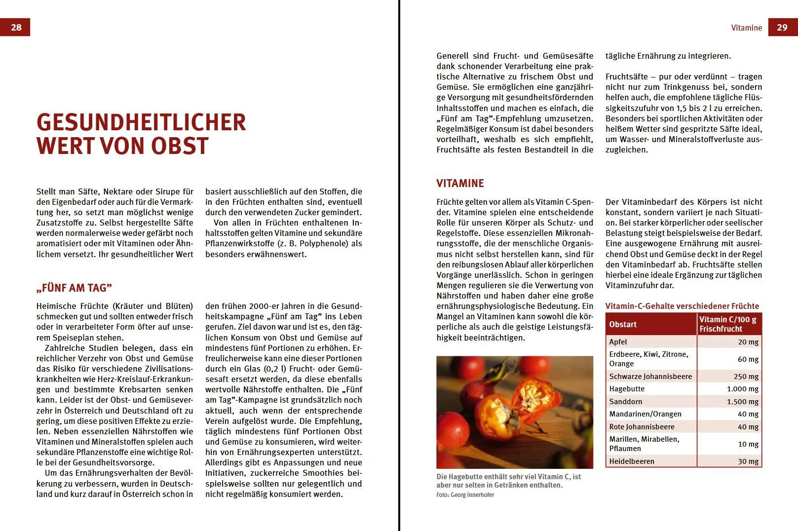 Bild: 9783702023041 | Obstsäfte, Sirup &amp; Nektar | Georg Innerhofer | Buch | 184 S. | Deutsch