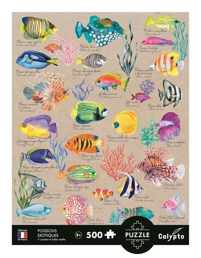 Bild: 3373910073141 | CALYPTO - Exotische Fische 500 Teile | Spiel | Karton | 3907314 | 2026