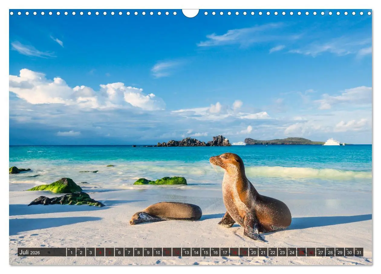 Bild: 9783457593141 | Die faszinierende Tierwelt der Galapagos-Inseln (Wandkalender 2026...