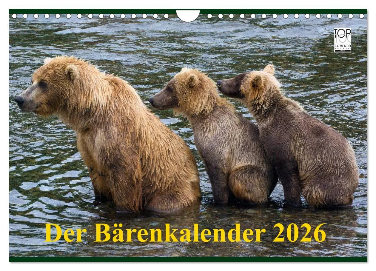 Cover: 9783516203141 | Der Bärenkalender 2026 (Wandkalender 2026 DIN A4 quer), CALVENDO...
