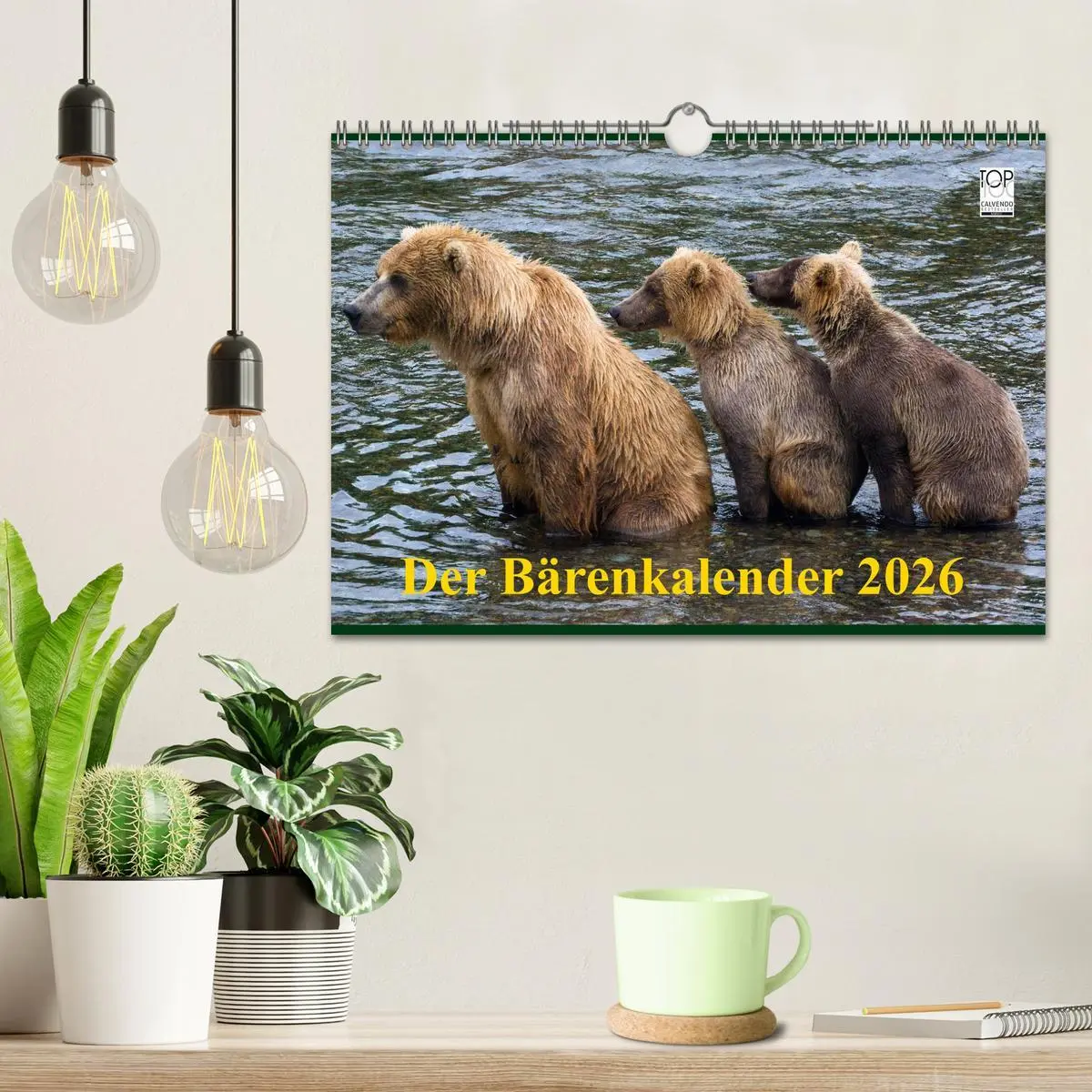 Bild: 9783516203141 | Der Bärenkalender 2026 (Wandkalender 2026 DIN A4 quer), CALVENDO...